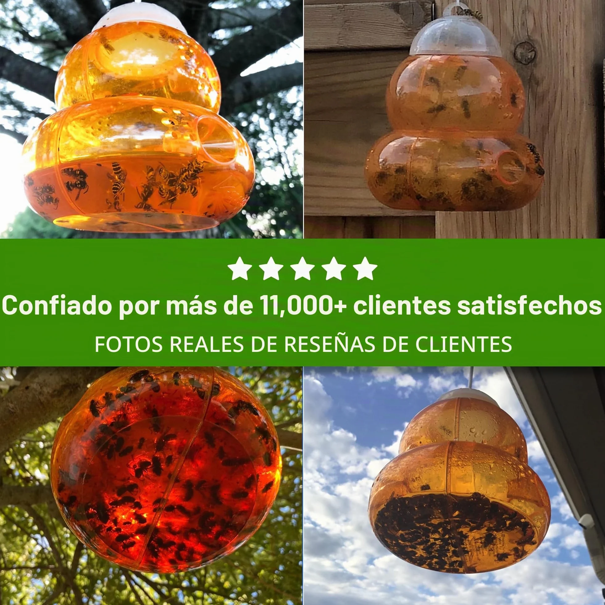 ASPECTEK Trampa para Avispas Trampa para Avispón, Abeja y Avispa Abejorro. 2 Unidades (Trampa de Abeja)