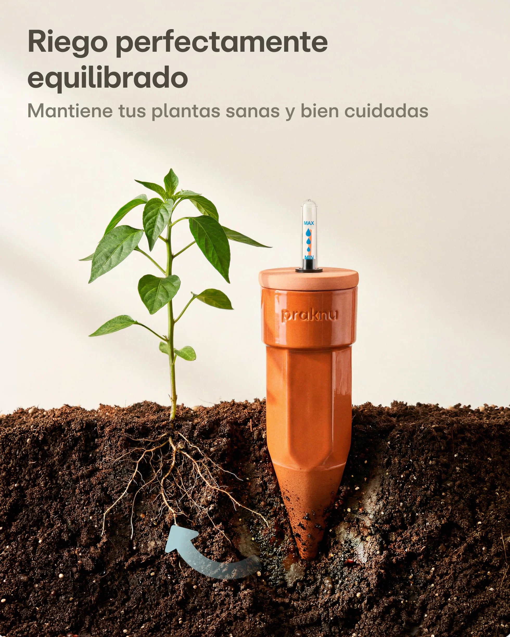 Praknu 3 x Conos de Riego de Terracota con Tapa e Indicador de Nivel de Agua – Hasta 10 Días de Riego Automático – Fácil Limpieza – Dispensador de Agua para Vacaciones