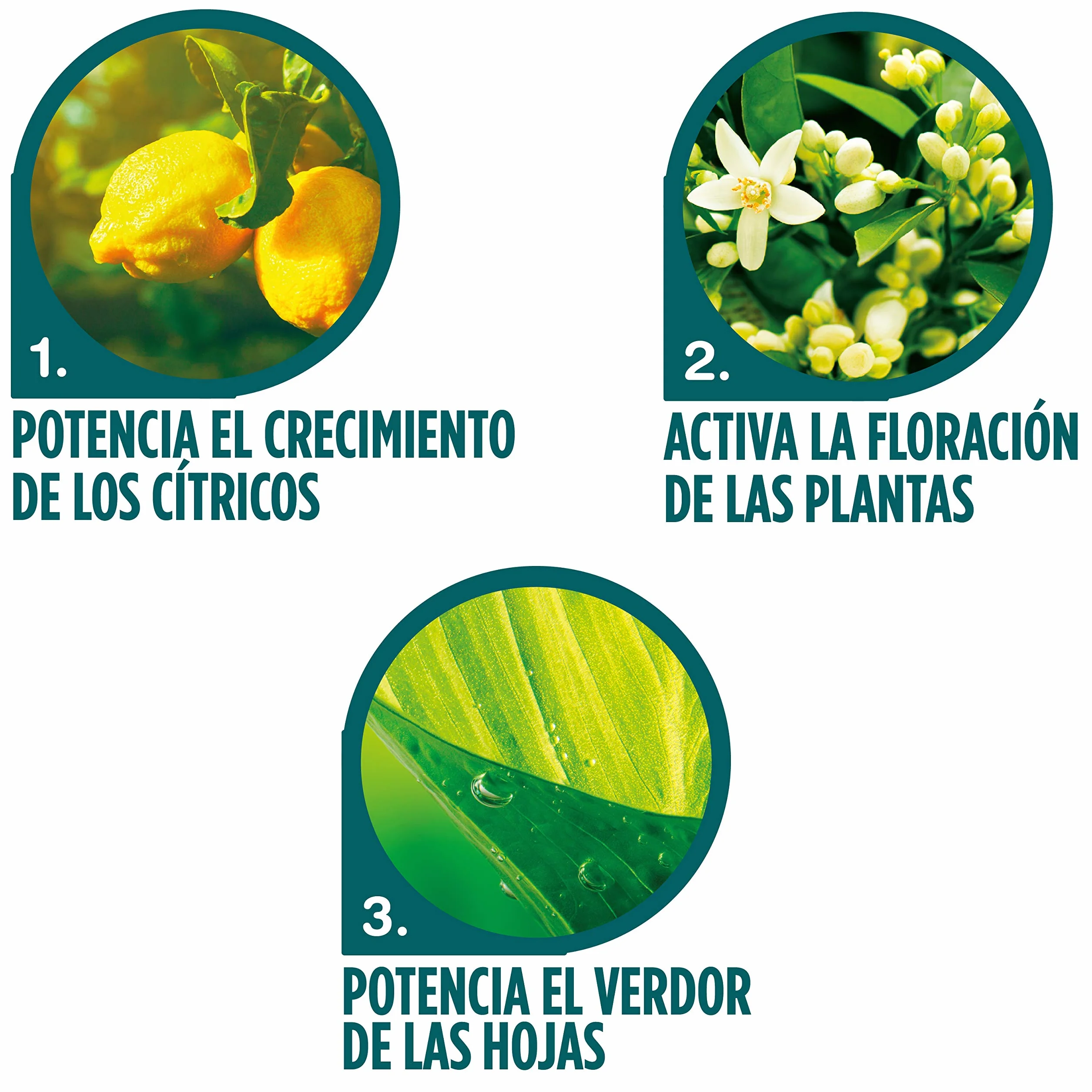 Abono liquido Cítricos 1L Verdecora (PORTES INCLUIDOS)