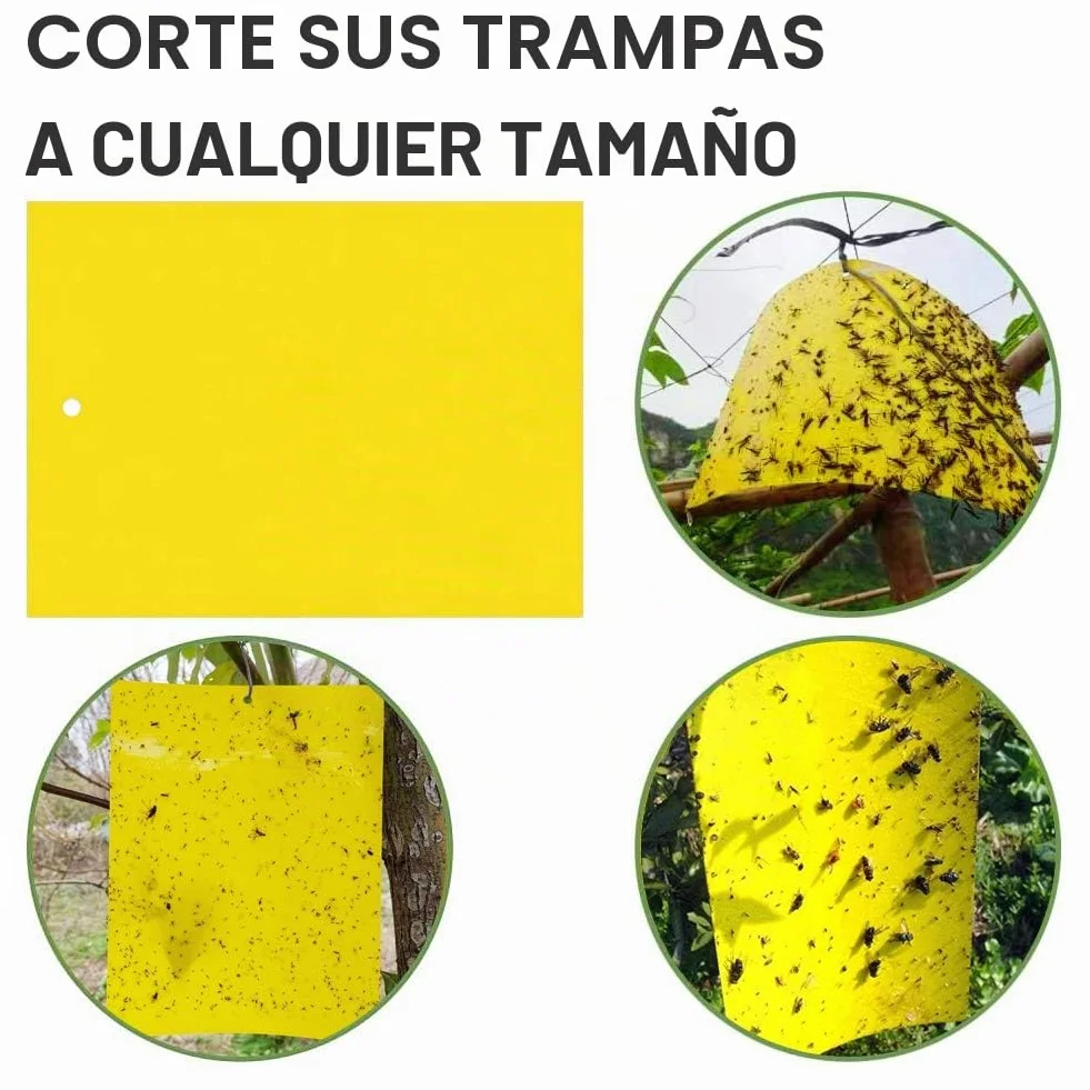 Sunshine smile 40 Piezas Trampa Moscas, Pegatinas Adhesivas de Papel de Mosca Amarillas, atrapamoscas para Plantas, Trampas de Mosca pegajosas (40-Amarillo)