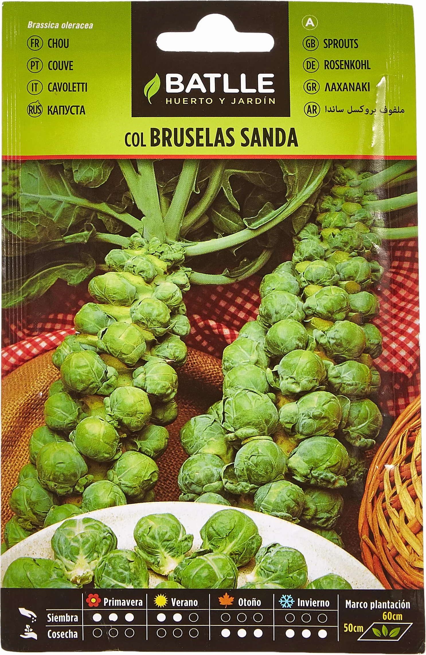 Semillas Batlle - Col Bruselas SANDA