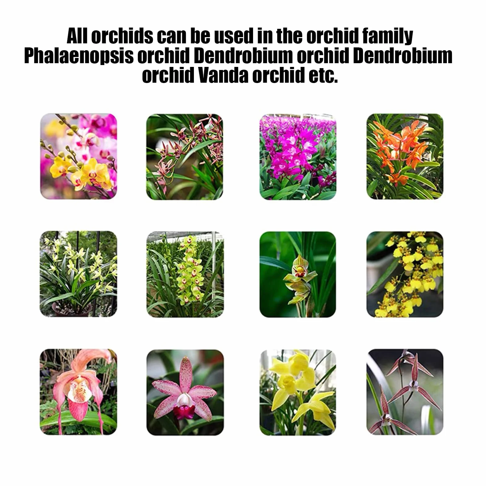 Alimento para plantas de orquídeas | Fertilizante líquido de enraizamiento | Fertilizante líquido para orquídeas | Spray de niebla de orquídeas | Fertilizante natural para orquídeas | Niebla compacta