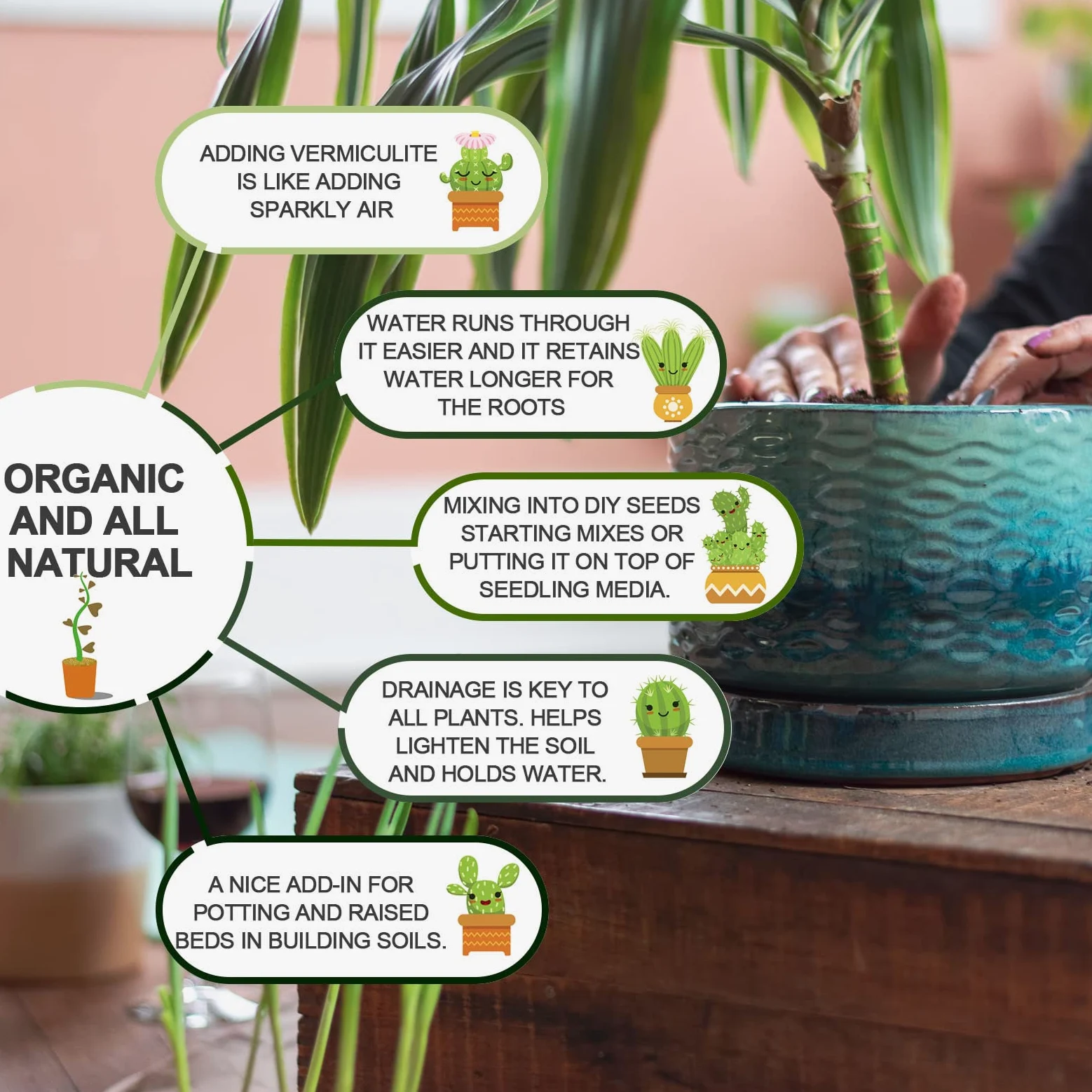 Gerta Vermiculita hortícola a granel, vermiculita orgánica para plantas, vermiculita de grado curso para jardinería, plantas de interior, hongos, para mantener la humedad del suelo y el crecimiento de