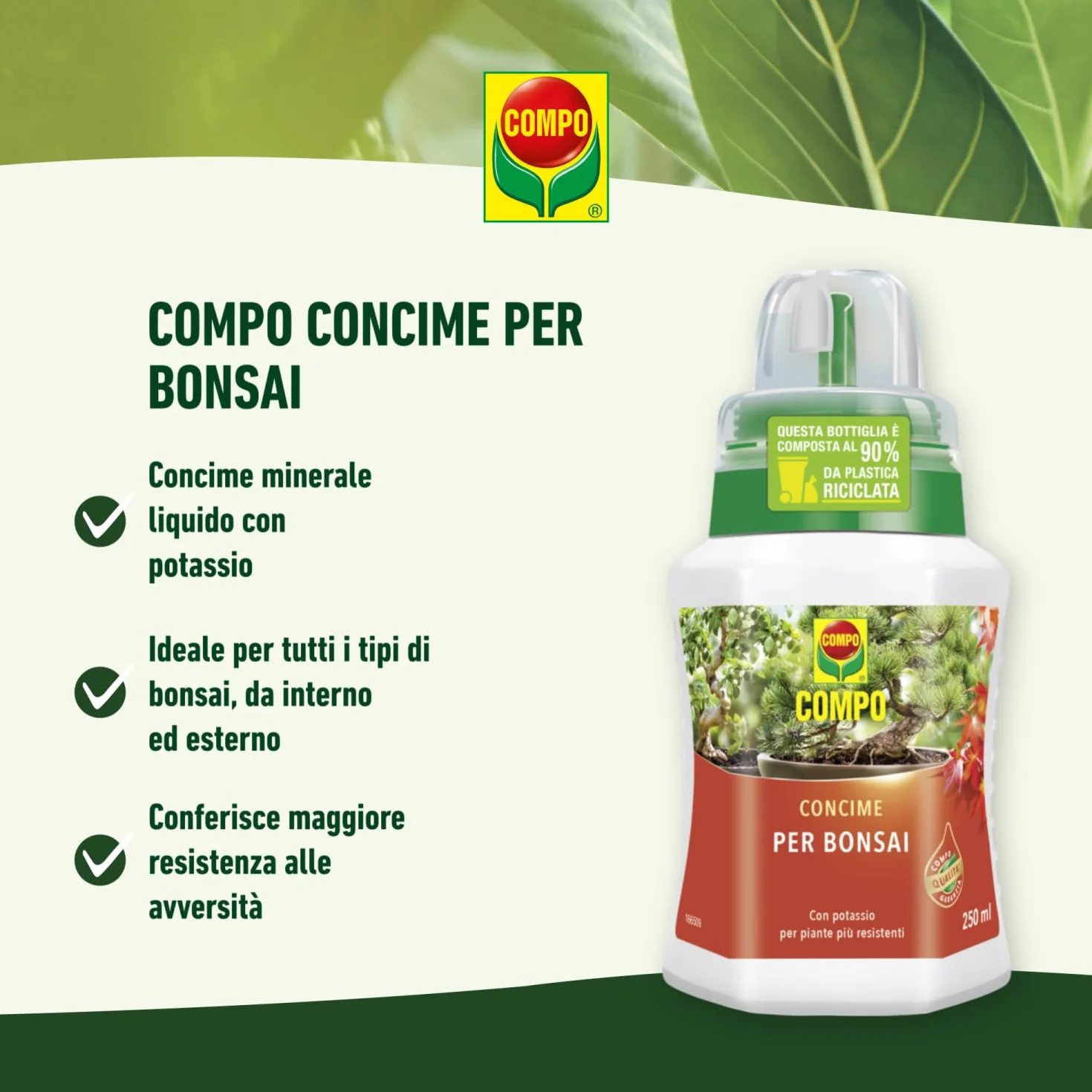 Compo 1200602005 - Fertilizante bonsái, 250 ml, color verde, 6,3 x 7 x 15,5 cm