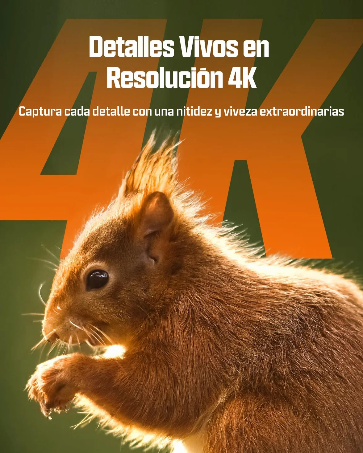 CEYOMUR 4K UHD Cámara de Caza Nocturna Solar WiFi 6 con Detección 120°, Batería 5200 mAh, IP66