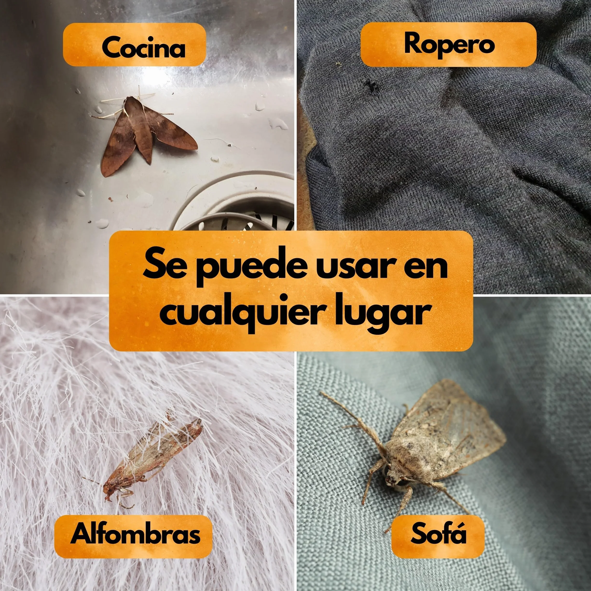 Panteer ® Spray antipolillas 500ml - protección antipolillas contra polillas de los Alimentos y polillas de la Ropa - Lucha contra Las polillas sin permetrina - Fabricado en Alemania