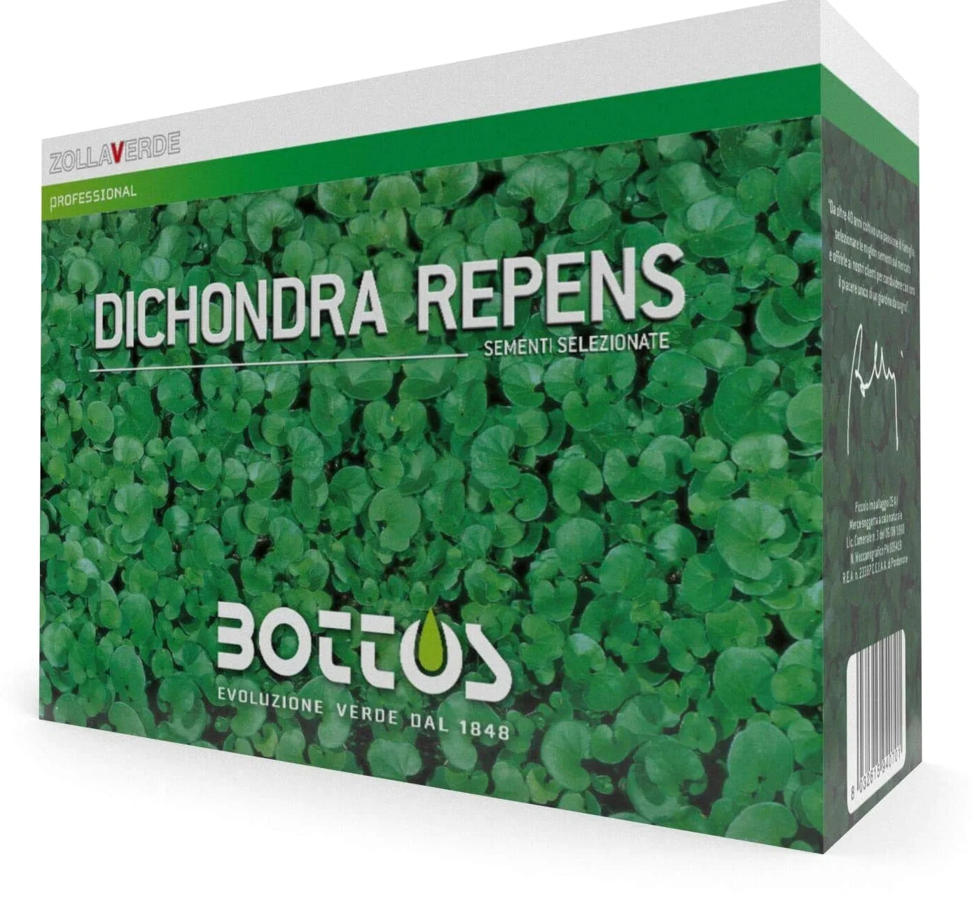Bottos DICONDRA REPENS, Semillas Dichondra, Alfombra Verde Densa de Bajo Mantenimiento, Ideal para Jardín y Parque, Tipo Macroterm, Dosificación 10-20 g/m², 1 Kg