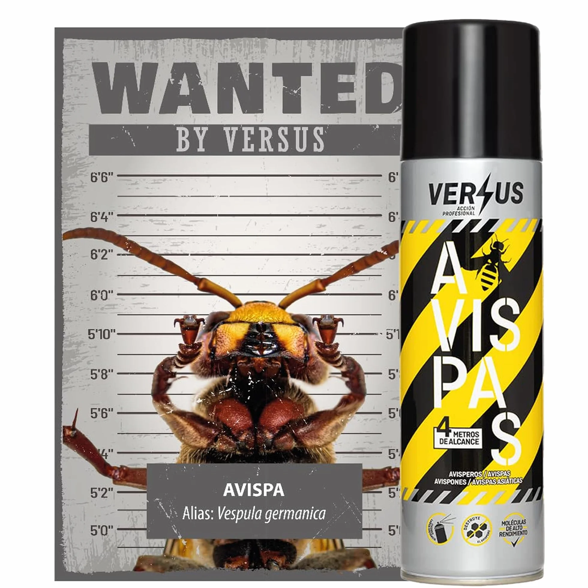 VERSUS AVISPAS - Insecticida Avispas, Avispones y Avisperos - Eficaz contra Avispa Asiática - Largo Alcance 4 Metros - Eficacia Inmediata y a Distancia - Destruye el Nido y Evita Nuevas Reproducciones
