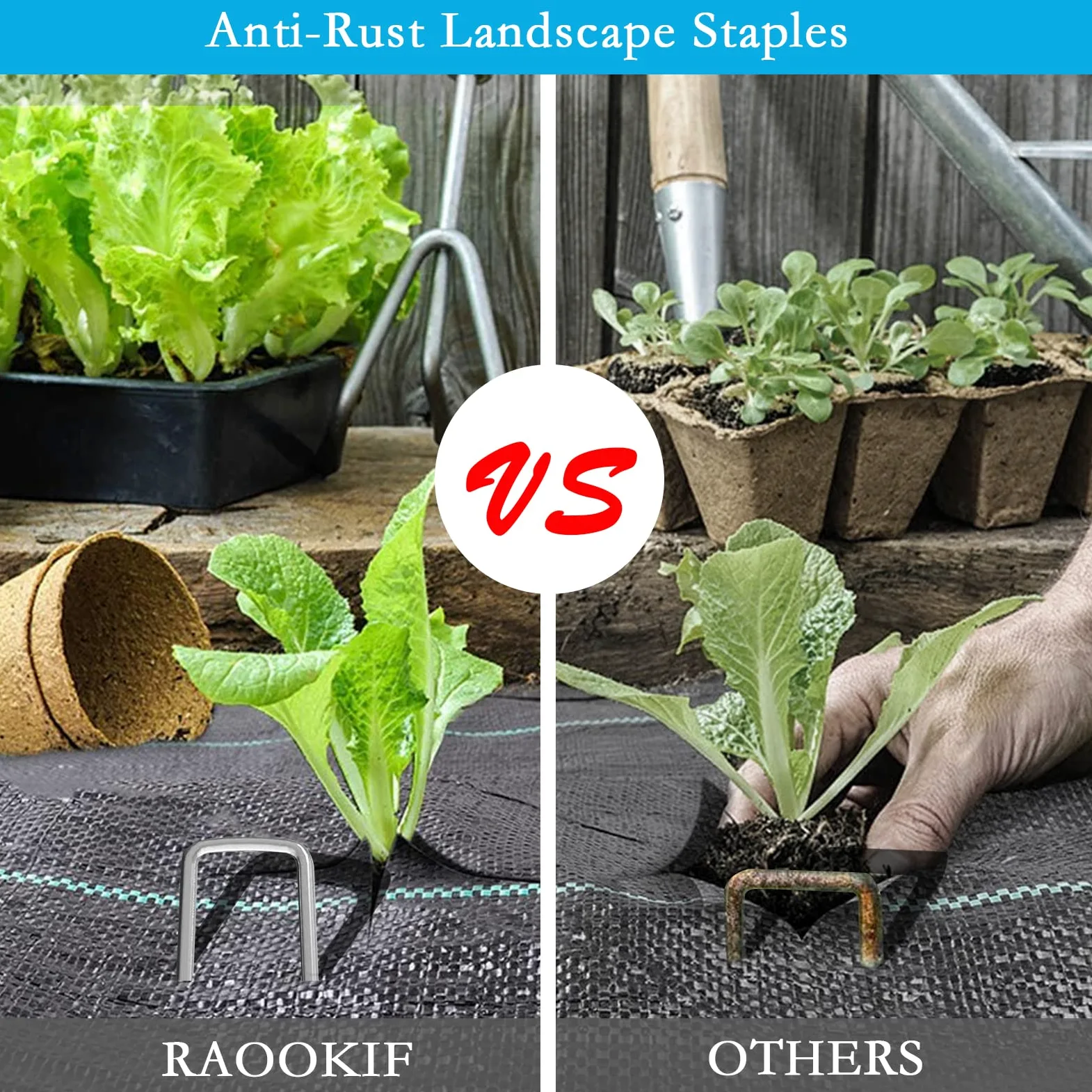 RAOOKIF Garden Stake