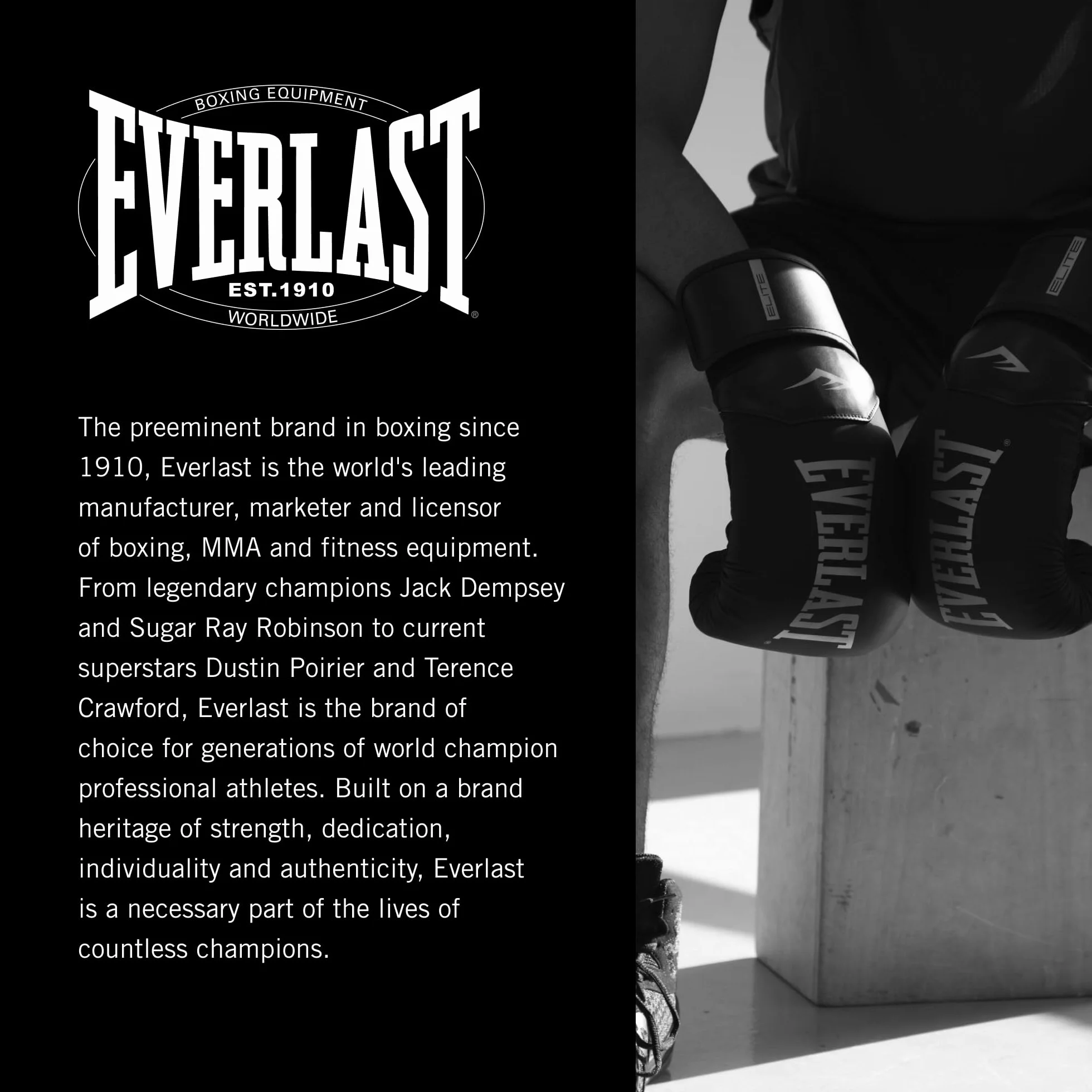 Everlast Elite 2 Boxing Gloves for Bags Mitt Sparring Hook and Loop Strap