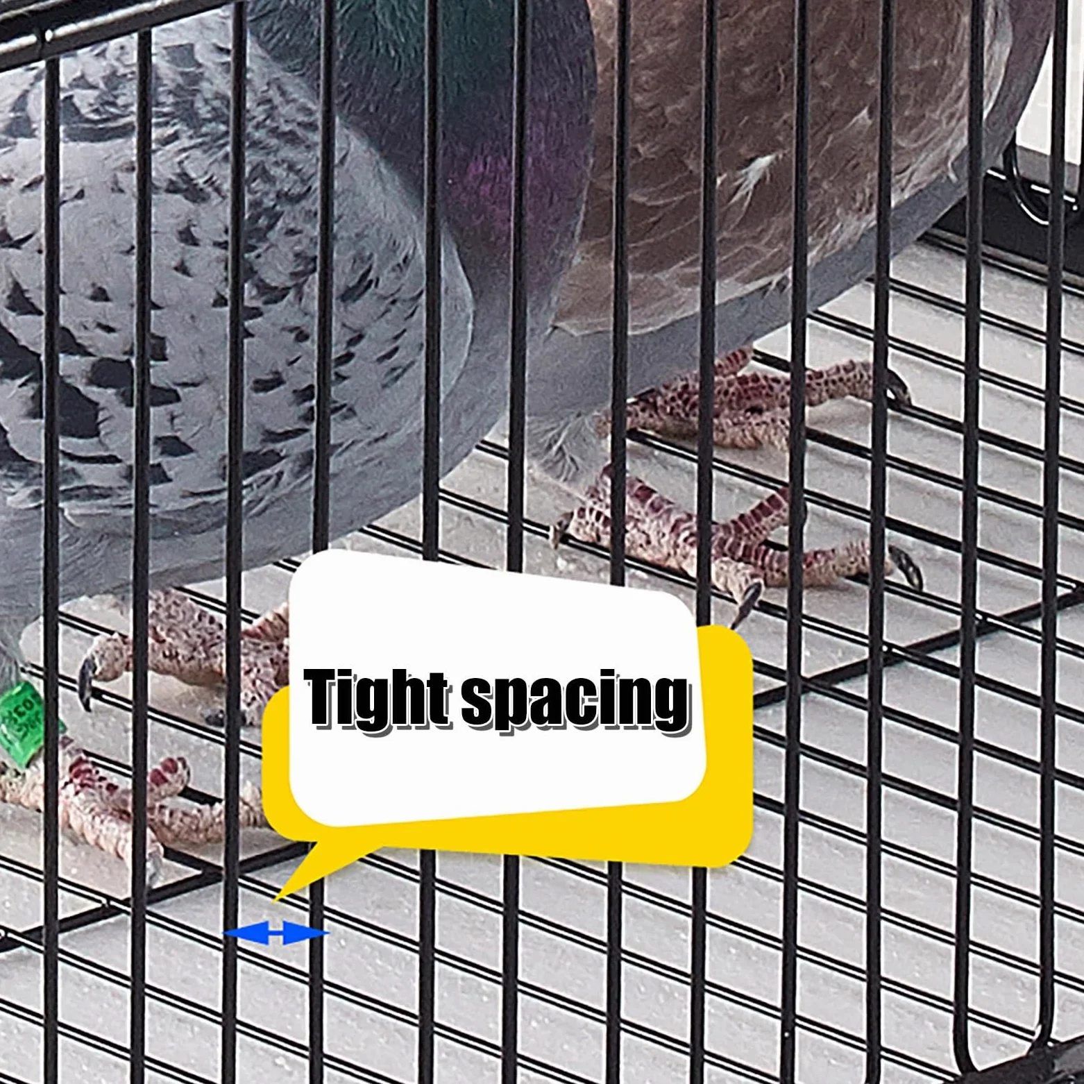 Jaula trampa para palomas con entradas unidireccionales y tragaluces para un fácil montaje y limpieza