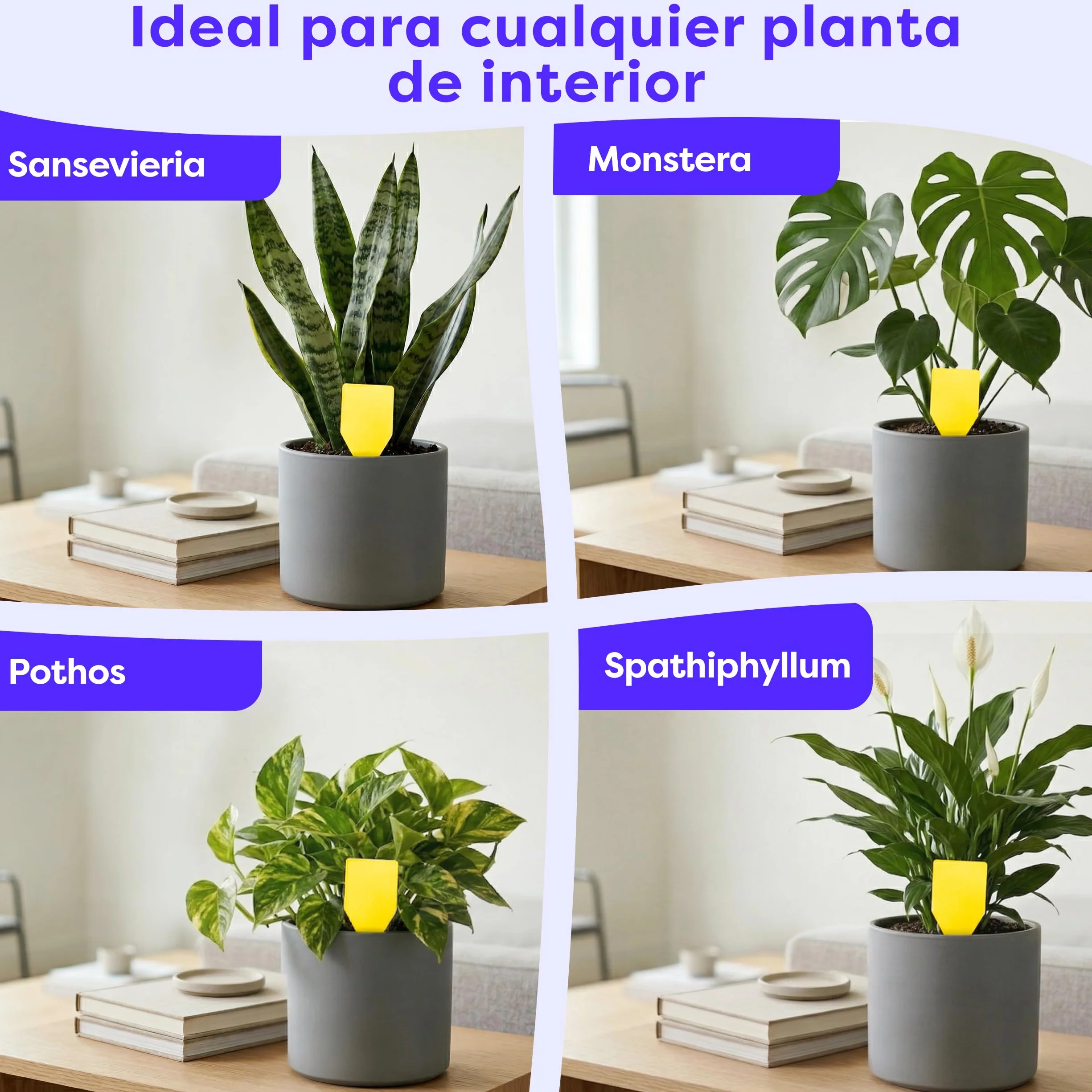 Wolkenfeld Trampa Moscas Plantas 60 Piezas Pegatinas – Trampas Amarillas para Insectos, Atrapa Mosquitos Adhesivo Doble Cara, Sin Insecticida – Interior, Macetas y Invernadero – Made in Germany