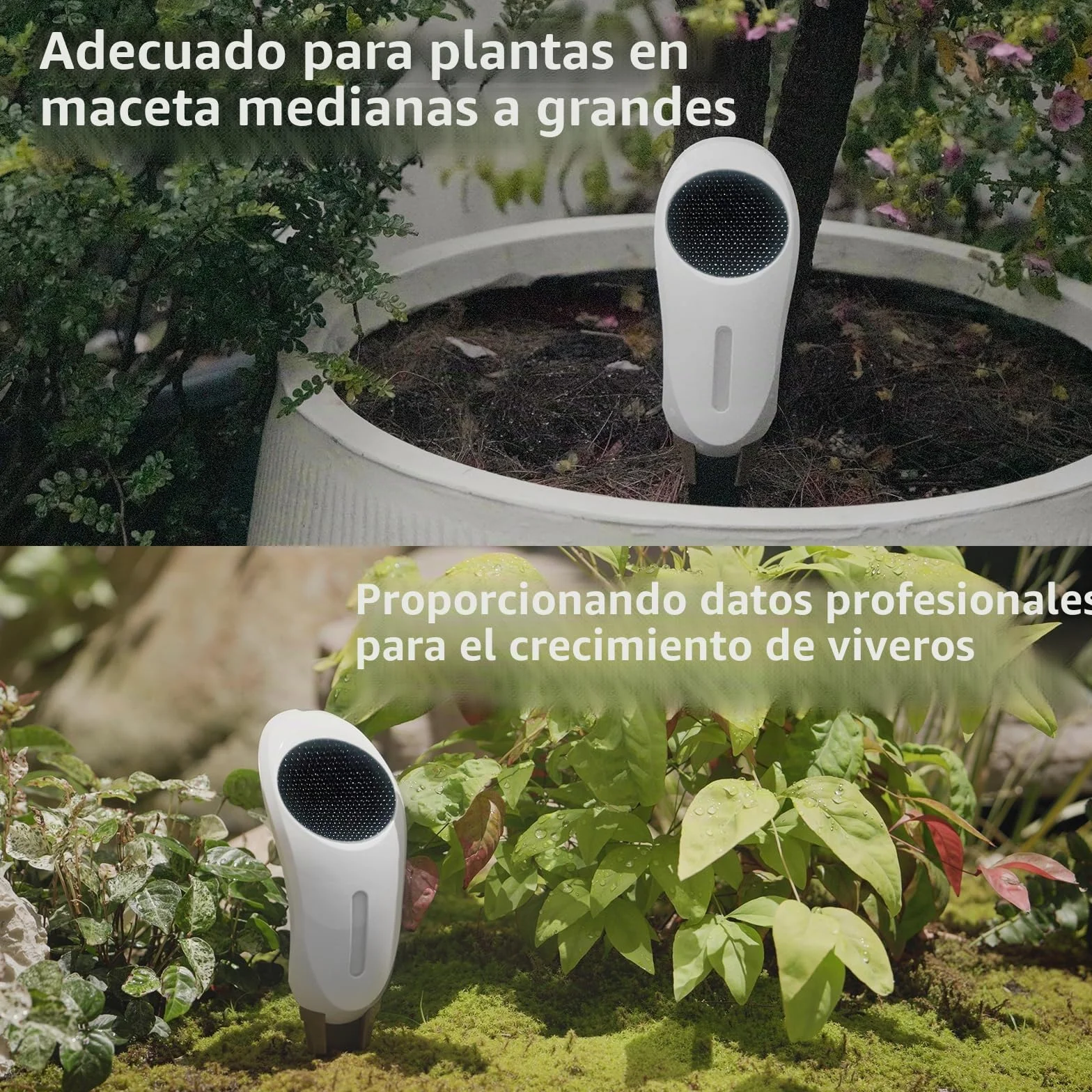 Netro Whisperer Sensor inteligente de planta de 2ª generación, basado en aplicaciones, conectado a WiFi, funciona con energía solar para uso en exteriores