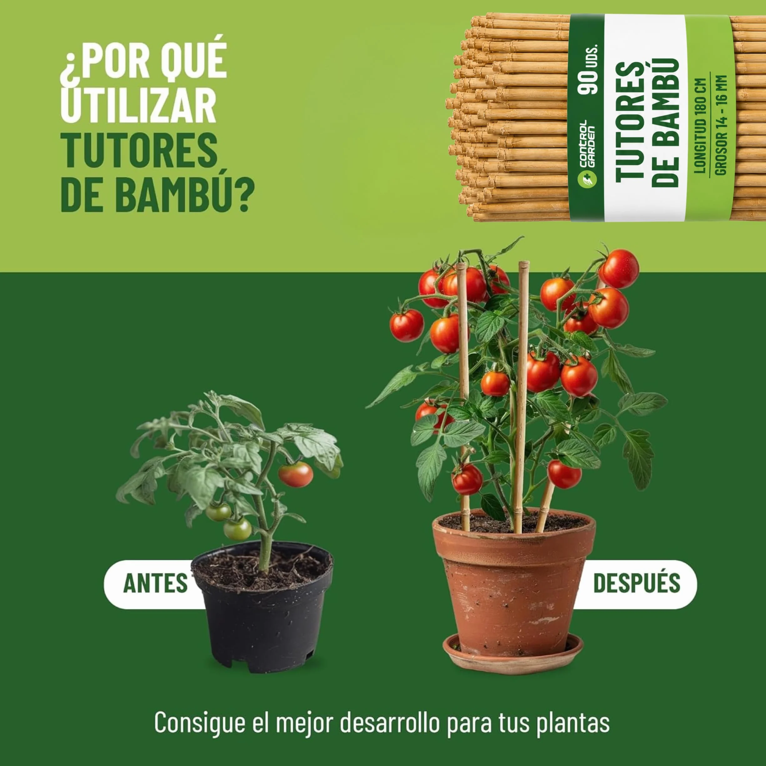 CONTROL GARDEN 90 Tutores de Bambu para Plantas 180 cm Grosor 14-16 cm | Cañas Estacas Natural para Tomateras, Enredaderas y Sujetar Cultivos | Varas Resistentes Huerto y Jardin