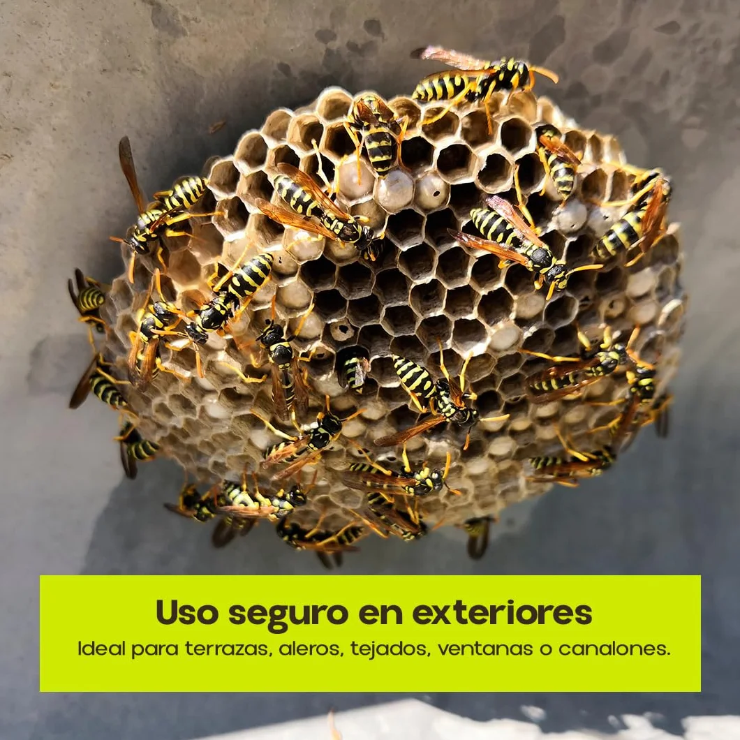 PREBEN Insecticida Avispas | Especial Avisperos 750 ml | Spray de Largo Alcance | Muy Eficaz para Avispas, Avispas Asiática y Avispones | Pulveriza hasta 4 Metros | Uso Exterior | Nexum Market