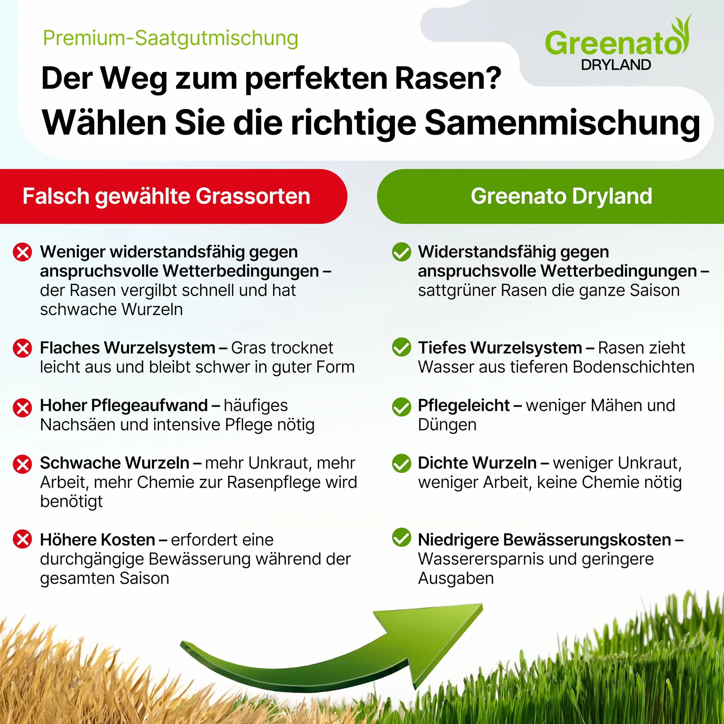Semillas de Césped Greenato Dryland Resistentes a la Sequía 10kg
