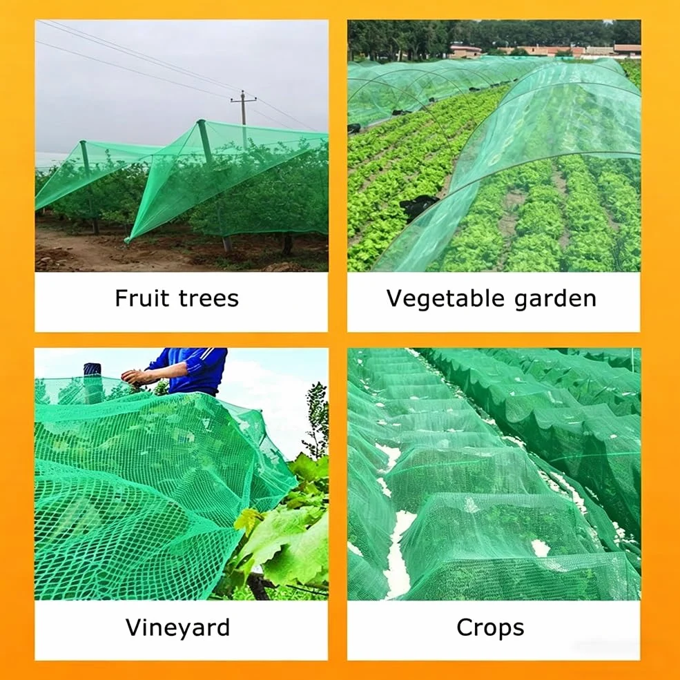 Malla Antigranizo para Huerto, Red de Protección contra Granizo con Malla Fina de 0,5 cm para Protección de Frutas y Verduras, Red Antigranizo para Plantas(6 x 10 m/19.7 x 32.8 ft)