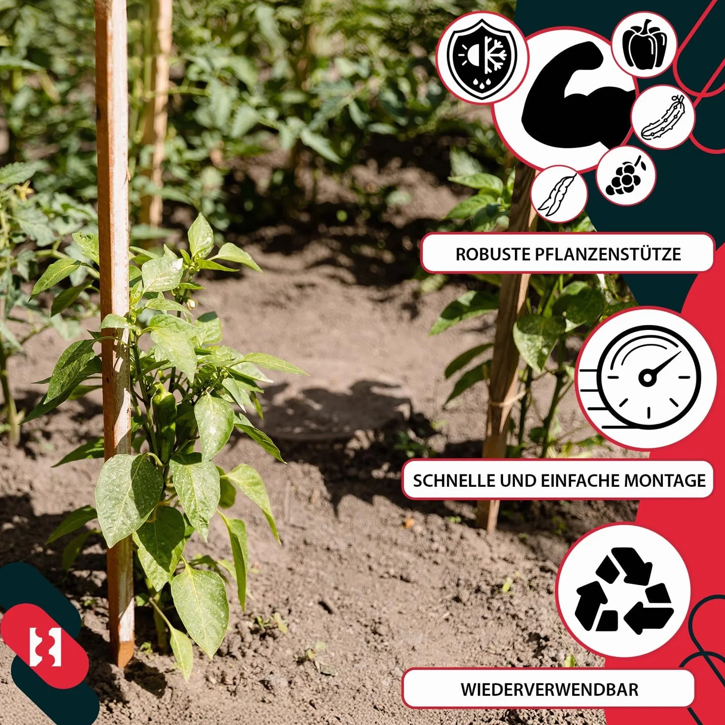 KOTARBAU® 10 Unidades Tutores para Plantas - Palos de Madera - 40 cm - Madera de Haya - Natural - Postes para Vallas - Estacas para Jardín - Tutor Plantas - Estacas para Huerto