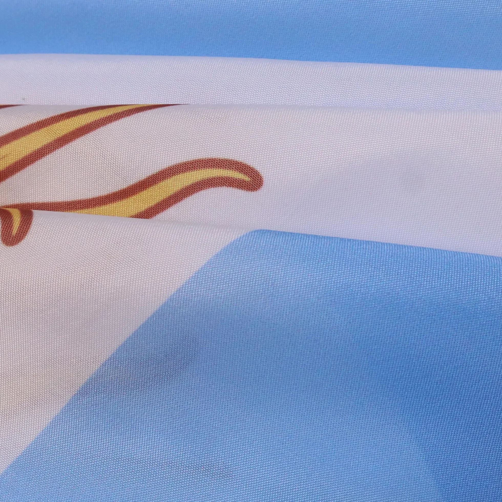AZ FLAG Bandera de Argentina 150 x 90 cm, Capa Bandera Argentina 100% poliéster con mangas integradas, Body Flag argentino