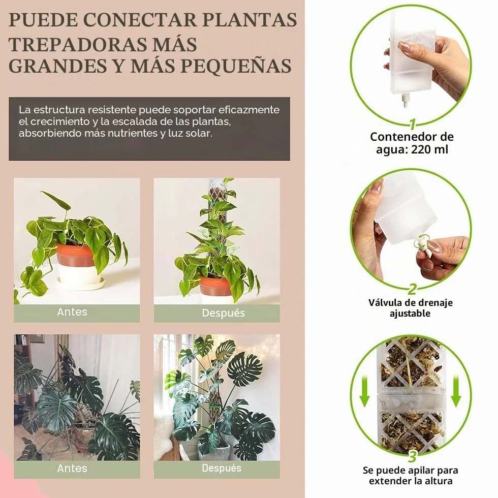Moss Pole,6 Piezas Tutores para Plantas Trepadoras,Tutor Monstera,6 Tutor Musgo Plastique, 4 Alfileres, 4 Botellas de Goteo, 4 Diafragmas de Reproducción, 100 Bridas,para Hiedra, Monstera, Pothos