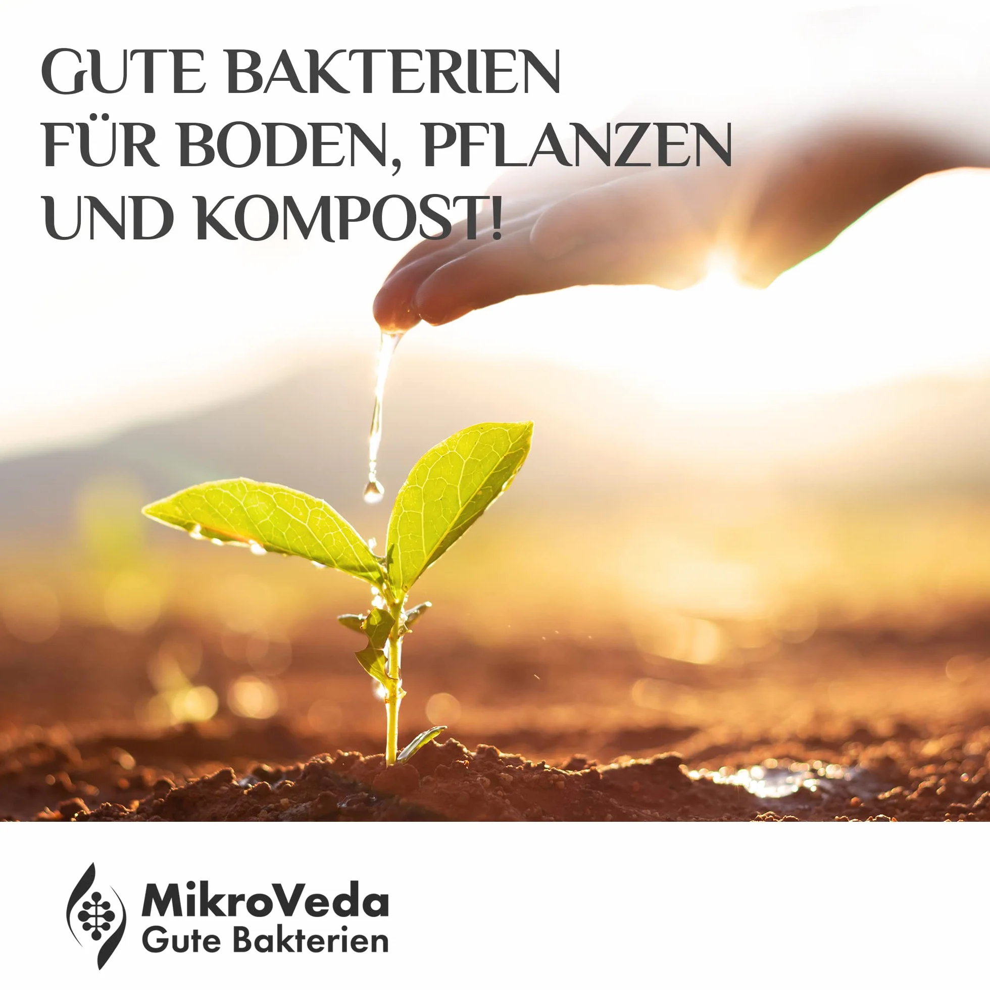 MikroVeda Terra - Activador de Suelo Biológico Con Bacterias y Microorganismos Efectivos - Suplemento Para Compost, Jardín - Abono Orgánico Vegano 100% Natural (1 L)