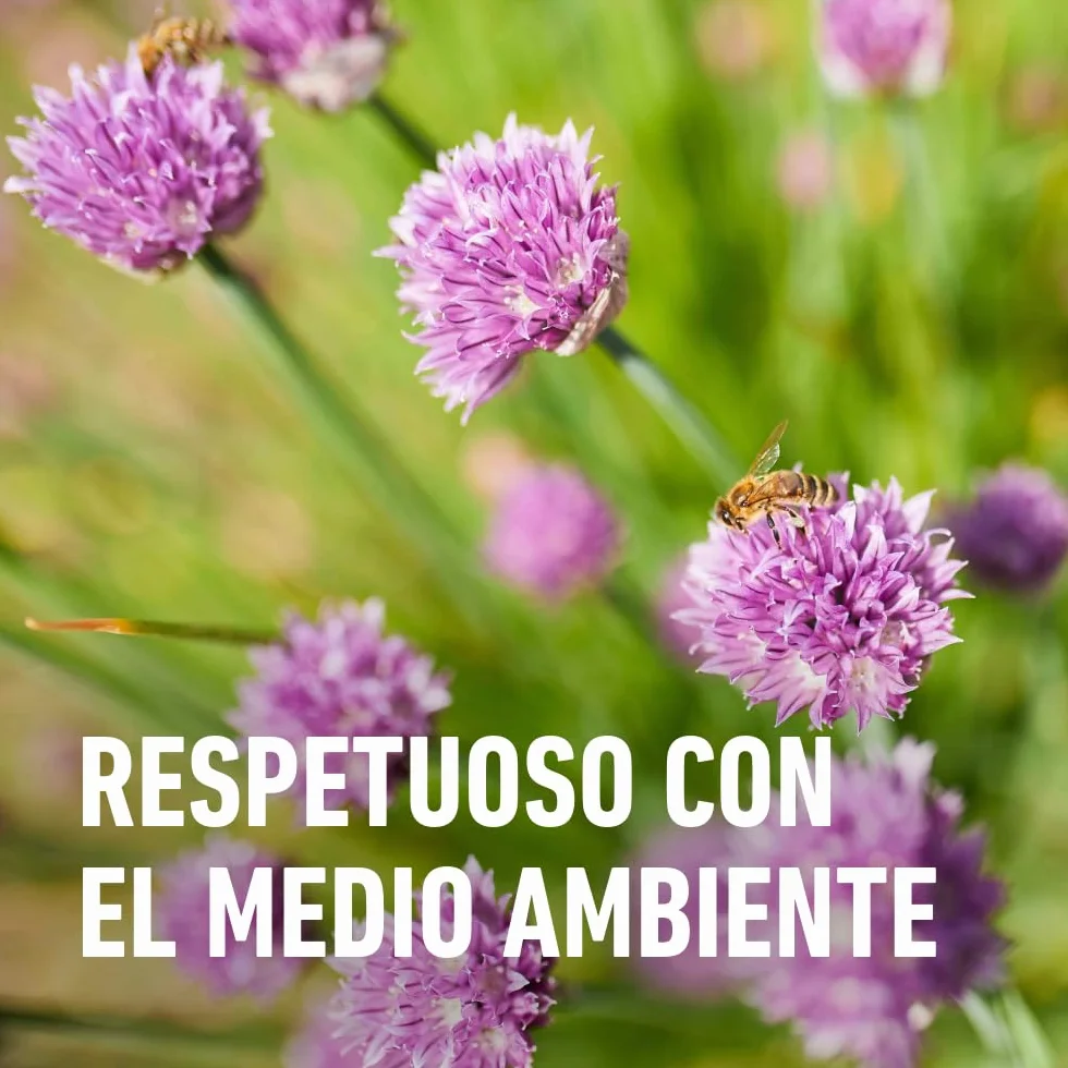 COMPO Antihormigas, Formato granulado para espolvorear, de uso interior y exterior, Efecto duradero, 300 g