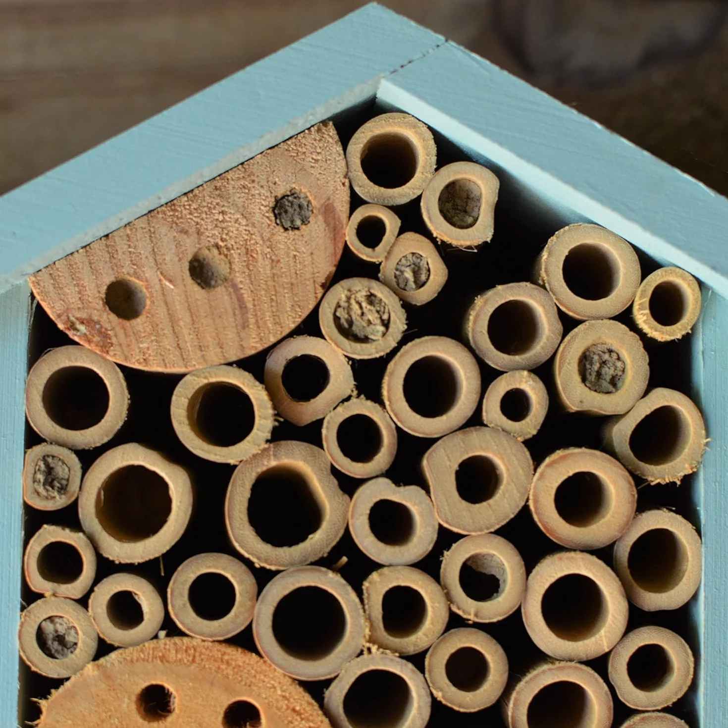 Nature's Way Bird Products PWH1-C Casa de Abejas Verde Azulado