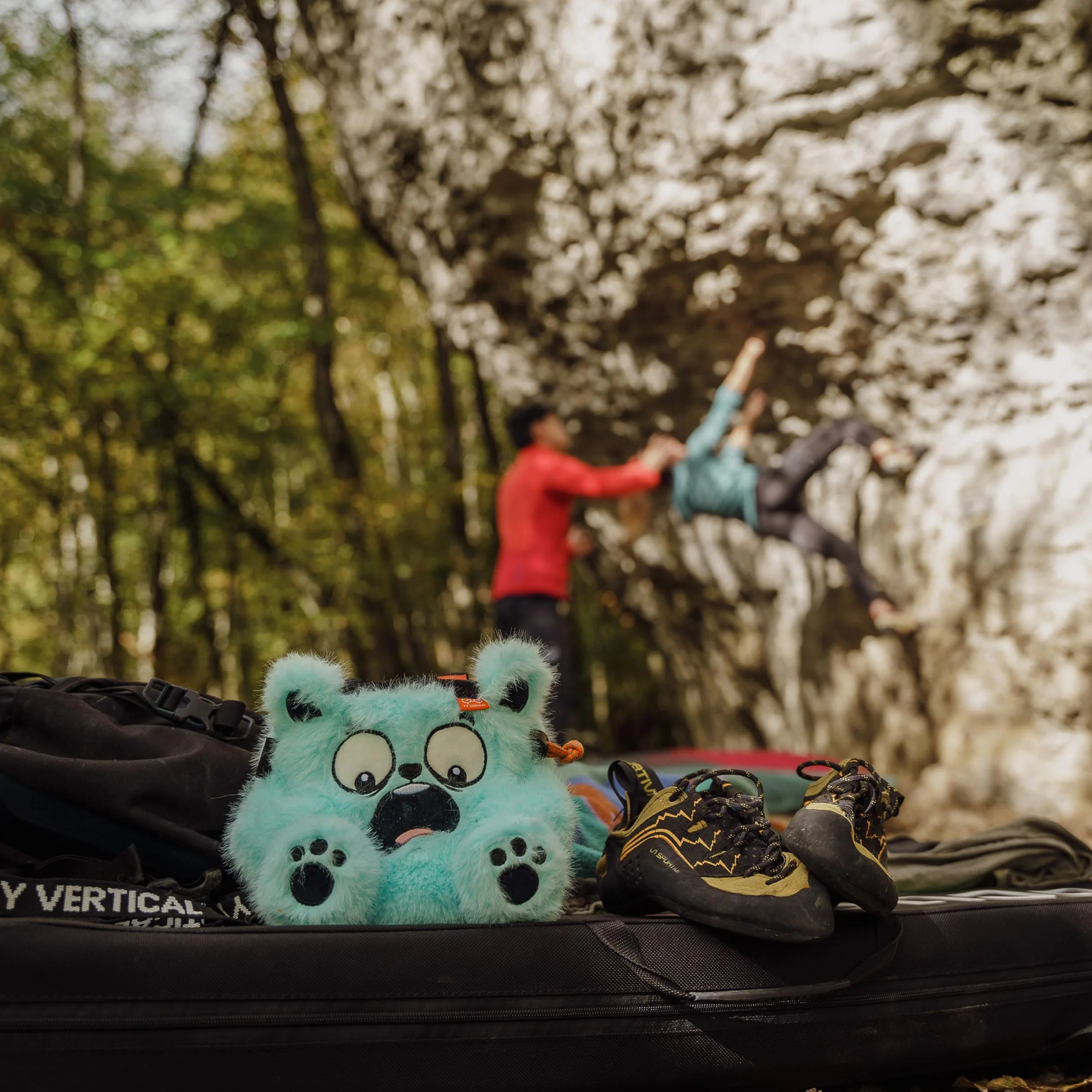 YY Vertical Bear Bolsa de tiza para escalada en roca para adultos y niños búlder montaña