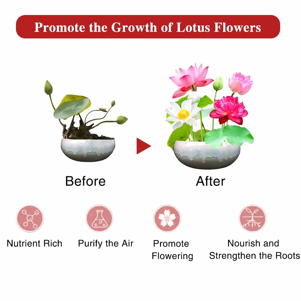 Fertilizante para Plantas Acuáticas,Fertilizante Para Estanques, Fertilizante Para Plantas,Alimento Para Plantas Acuáticas, Suplemento de Crecimiento de Acción Rápida para Plantas de Loto