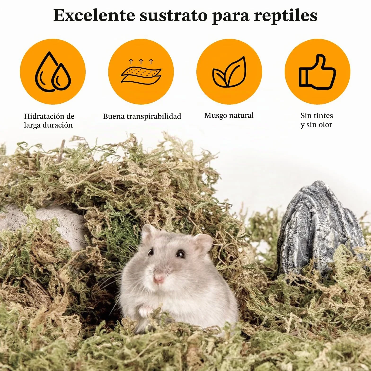 CATELL 190 g de musgo Sphagnum para plantas, terrario, tortuga y plantas de interior