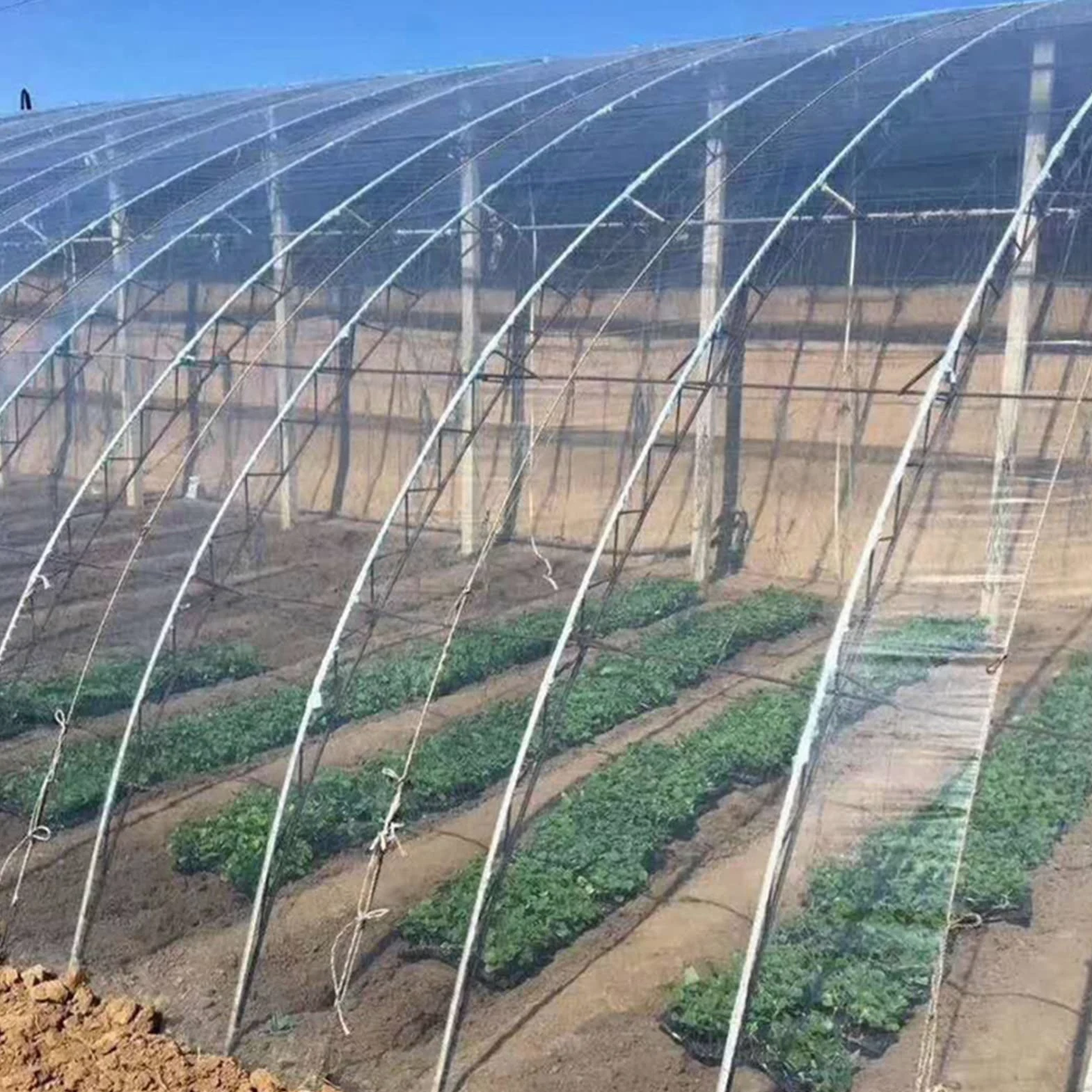 WIGING Película Plástica De Invernadero, Cubierta Vegetal De Invernadero De Polietileno, Placa Térmica De Invernadero Resistente A Los Rayos Ultravioleta para Jardines Hortícolas((WxL) 8x9m)