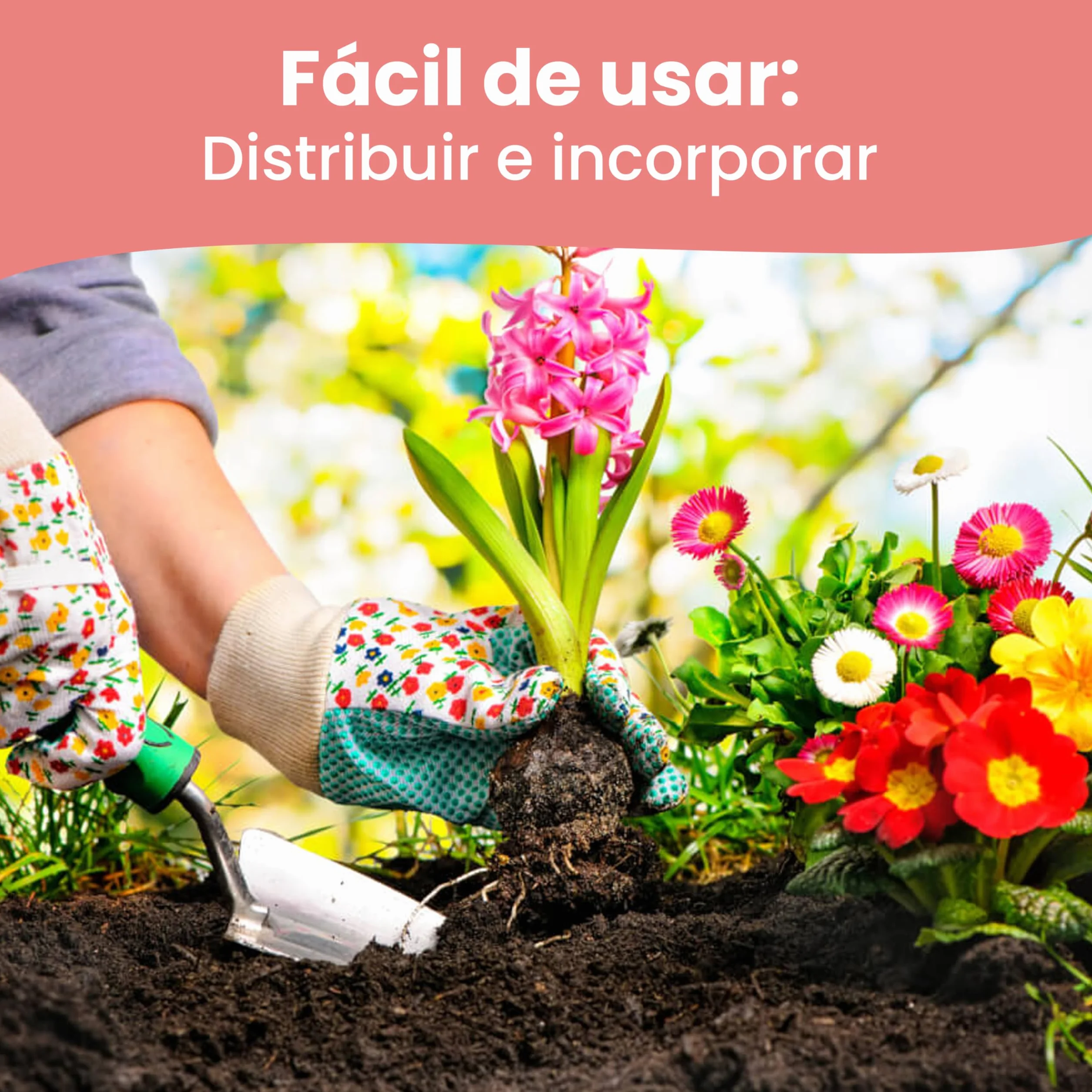 LERAVA Abono hortensias (2x800 g) - Abono acidófilas BIO para hortensias y rododendros - Mantiene suelo ácido I Crecimiento vigoroso y floración abundante - Ideal jardin