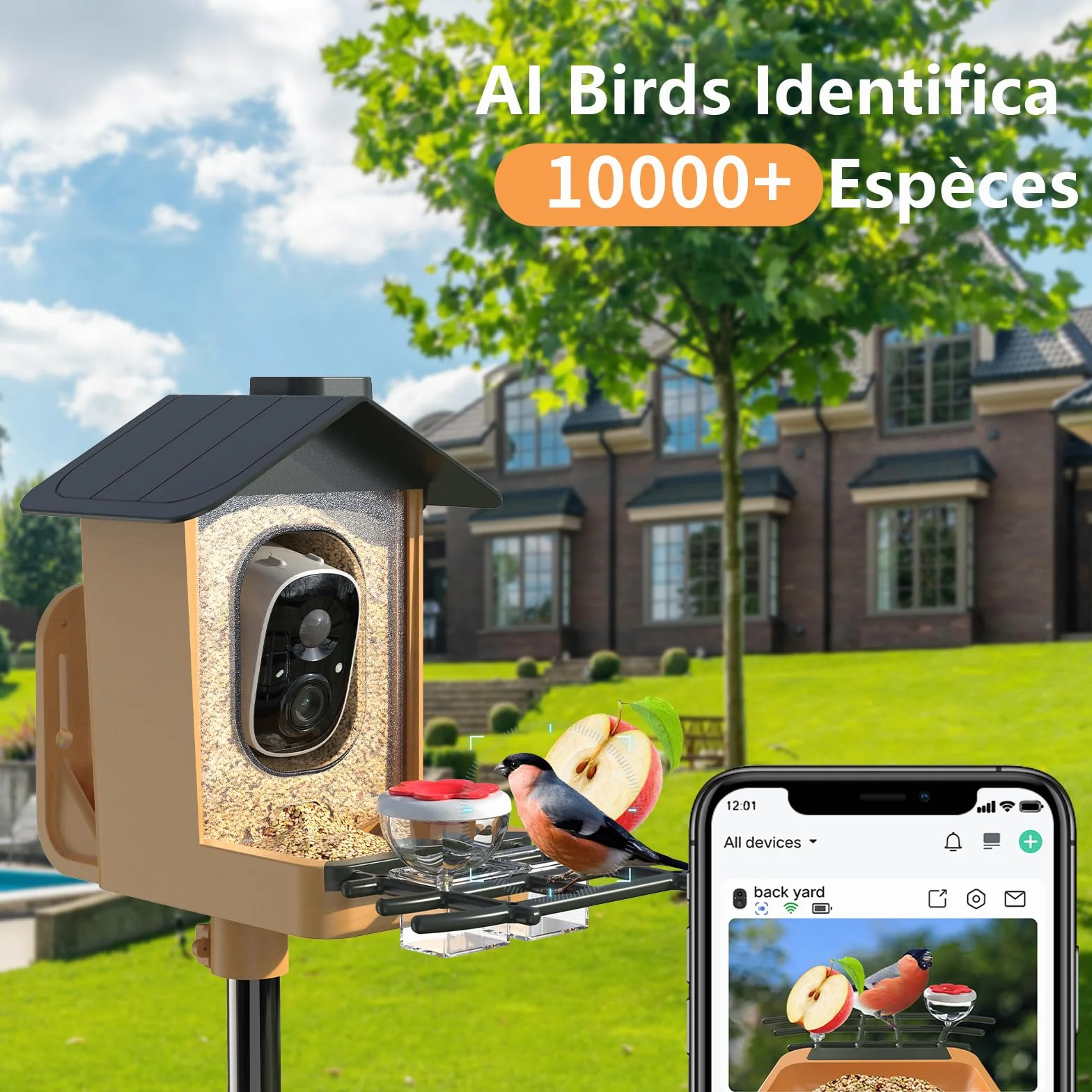 Comedero Pajaros con Cámara 2K HD AI identifica 10000+ Pájaros Solar Comedero Pajaros Exterior Notificación Instantánea Impermeable IP65 Almacenamiento en Nube Captura Automática Imagen/Videos