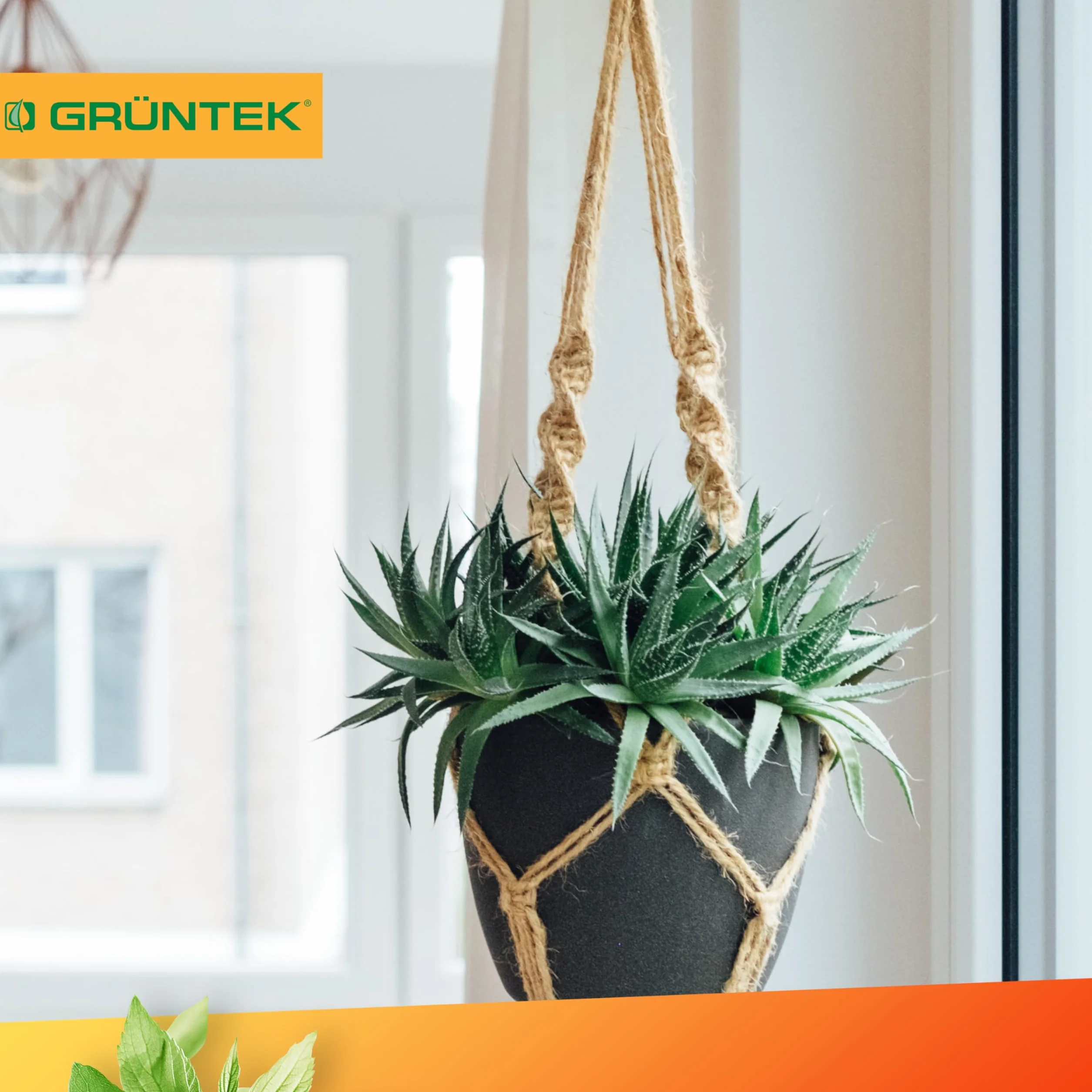GRÜNTEK Cuerda de Yute Natural 6mm Cordel Sisal Rascador para Gatos 6mm x 1 Rollo 60 M - Cuerda Manualidades Hilo macramé para jardinería decoración Tarjetas de Regalo