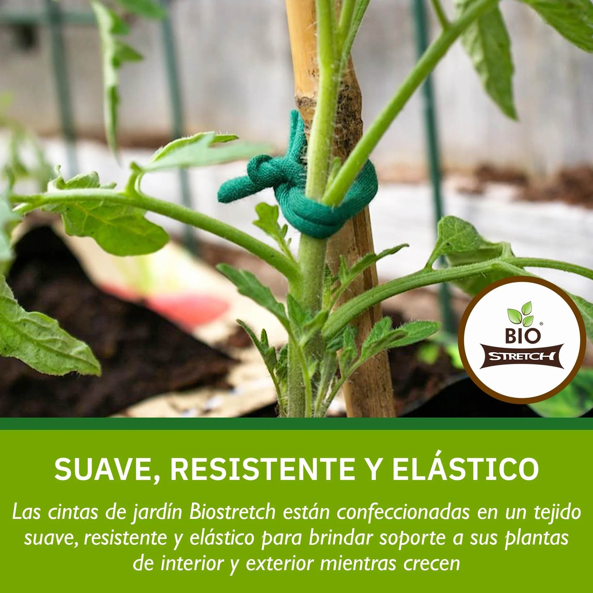 Bio-Stretch Cintas de Jardín Suaves para Plantas de Interior y Exterior – Resistentes y Elásticas, Cortables a Medida, para Plantas Trepadoras, Tomates y Jardinería en Casa (20m / Verde)