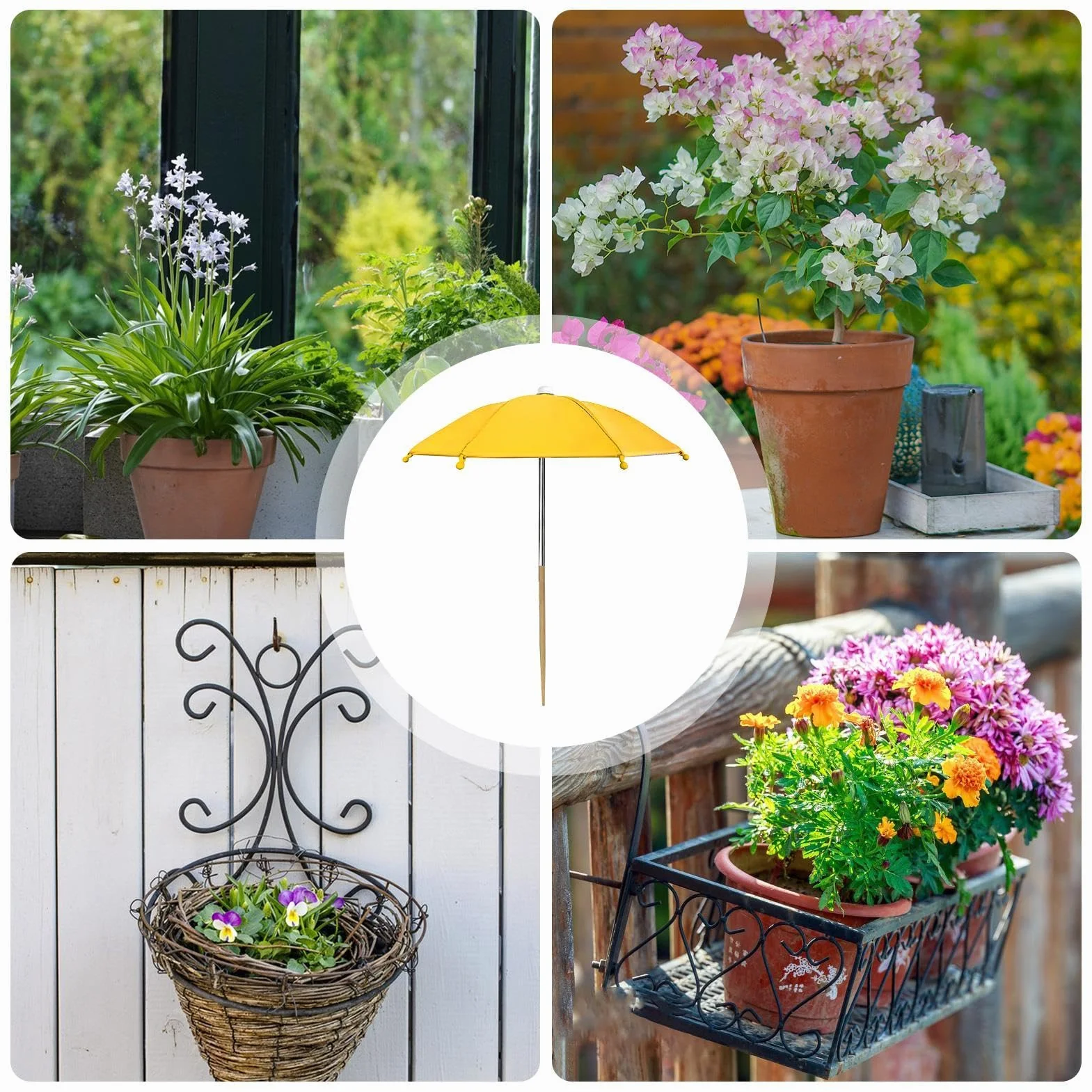 Paraguas para Plantas Exterior | Sombra sombrilla para Plantas en macetas y parterres jardín | Pequeñas sombrillas jardín | Planta protección UV Dan Sombra los Paraguas para defenderse Sol abrasador