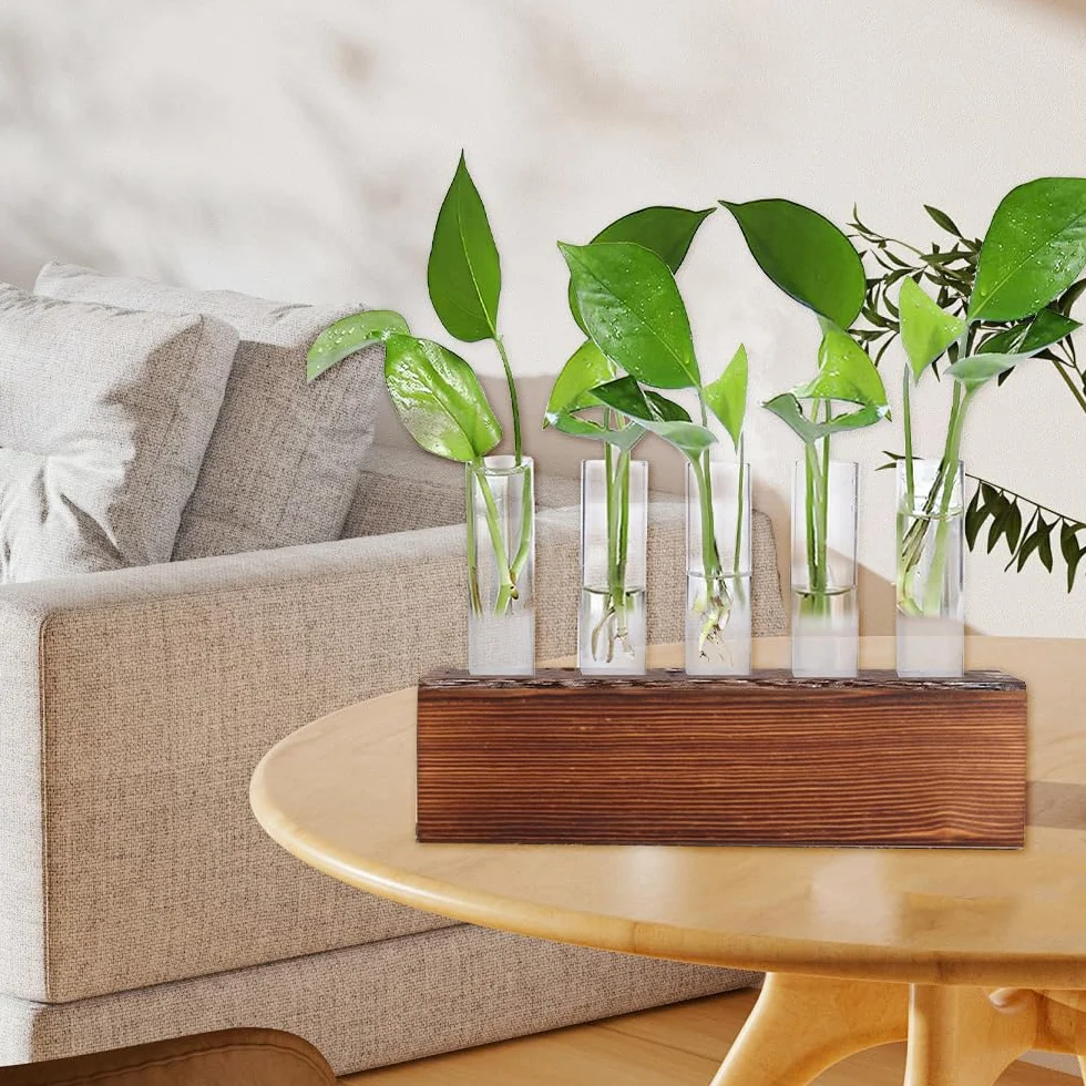 6 Jarrón Hidropónico, Jarrón de Cristal de Tubo de Ensayo Hidropónico con Soporte de Madera y Cepillar Estación Propagación Jarrón Tubo Vídrio para Plantas Hidropónicas Recortes Oficina Hogar