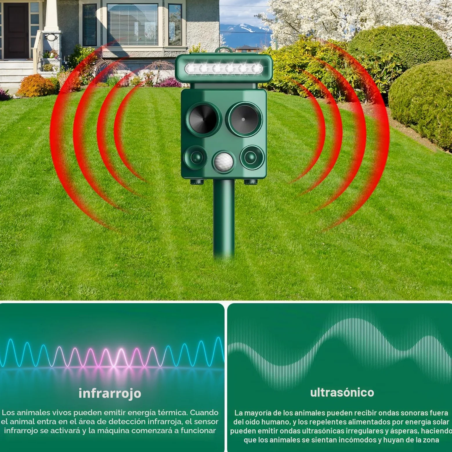 Repelente para Gatos, Ahuyentador de pájaros, IP65 Impermeable, disuasión Solar ultrasónico, Ahuyentador de Ratas con LED Intermitentes, Perros, Ratones, Zorros