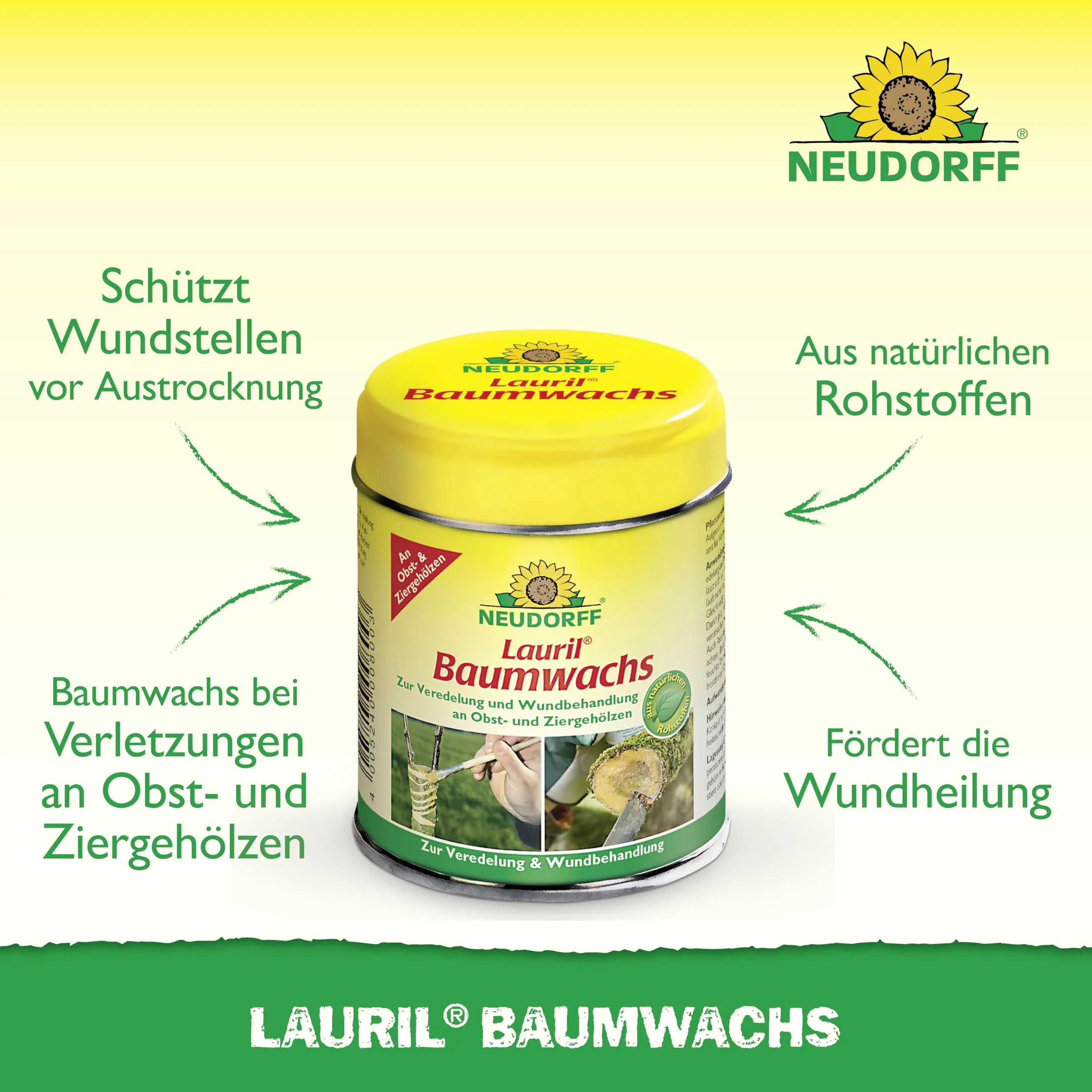 Neudorff Lauril - Cera para árboles lista para usar, cierre de herida para refinar y cicatrizar rápidamente las heridas de frutas y árboles ornamentales, 125 g