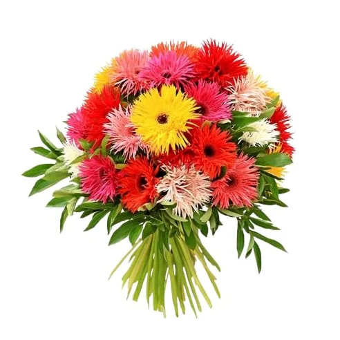 Ramo de Margaritas Gerbera Naturales con 20 Flores de Temporada