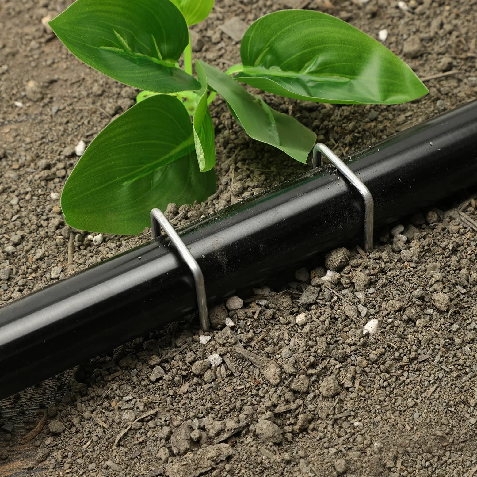 HongWay Garden Stake