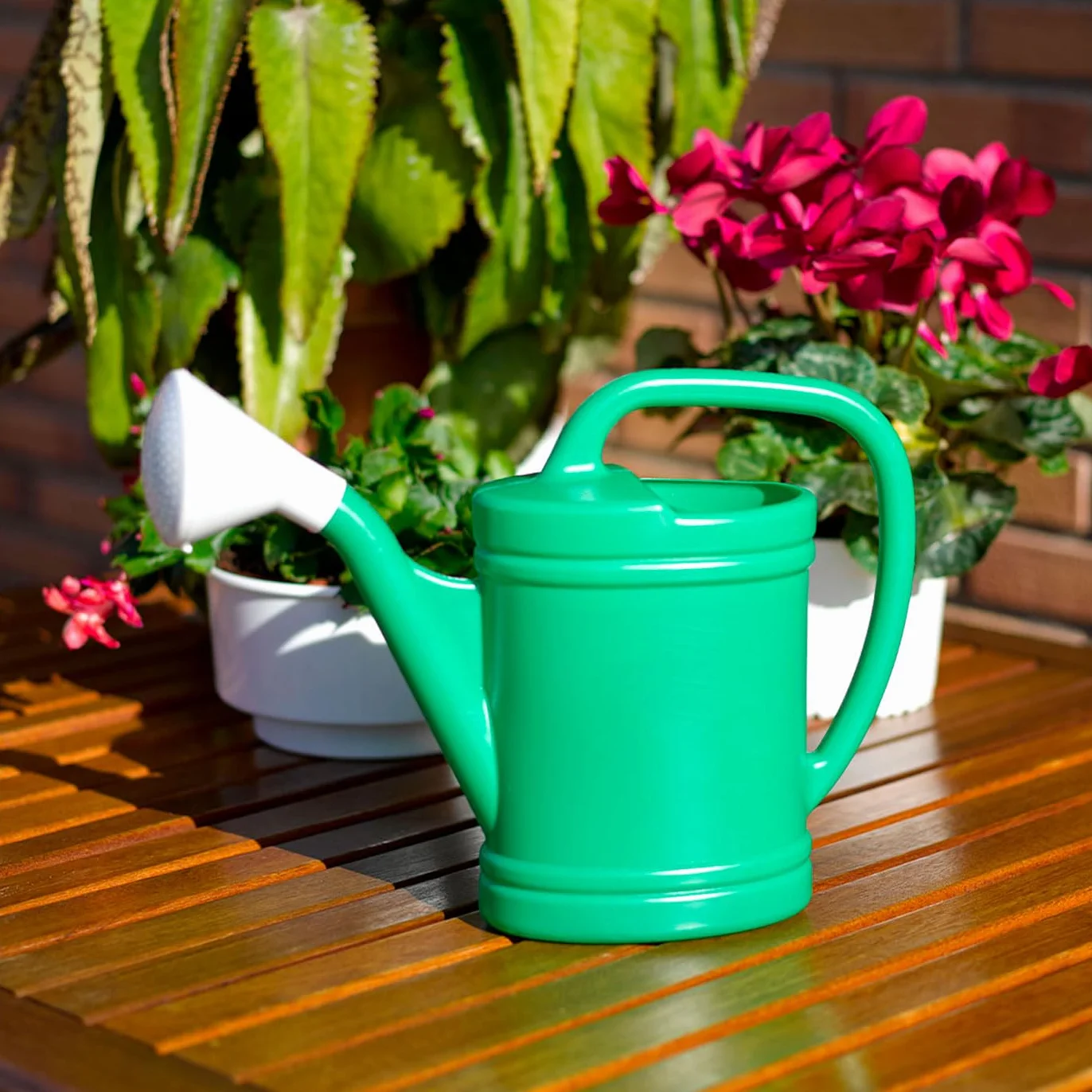 Tradineur - Regadera de plástico - Capacidad 12 litros - Utensilios de jardinería, riego, casa, balcón, terraza, Patio - Color Verde.