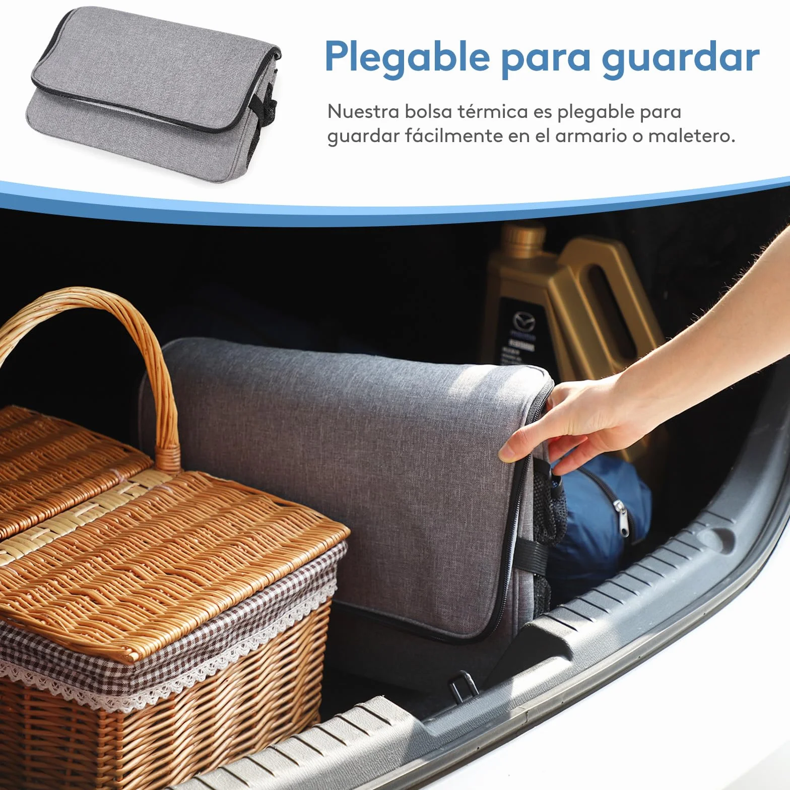 Lifewit Nevera Portatil 30L, Bolso Neveras Isotermica para Hombre, Grande Bolsas Termica Porta Alimentos, Cooler Bag Tela Plegable para Playa, Camping, Viaje, Trabajo, Picnic, Gris