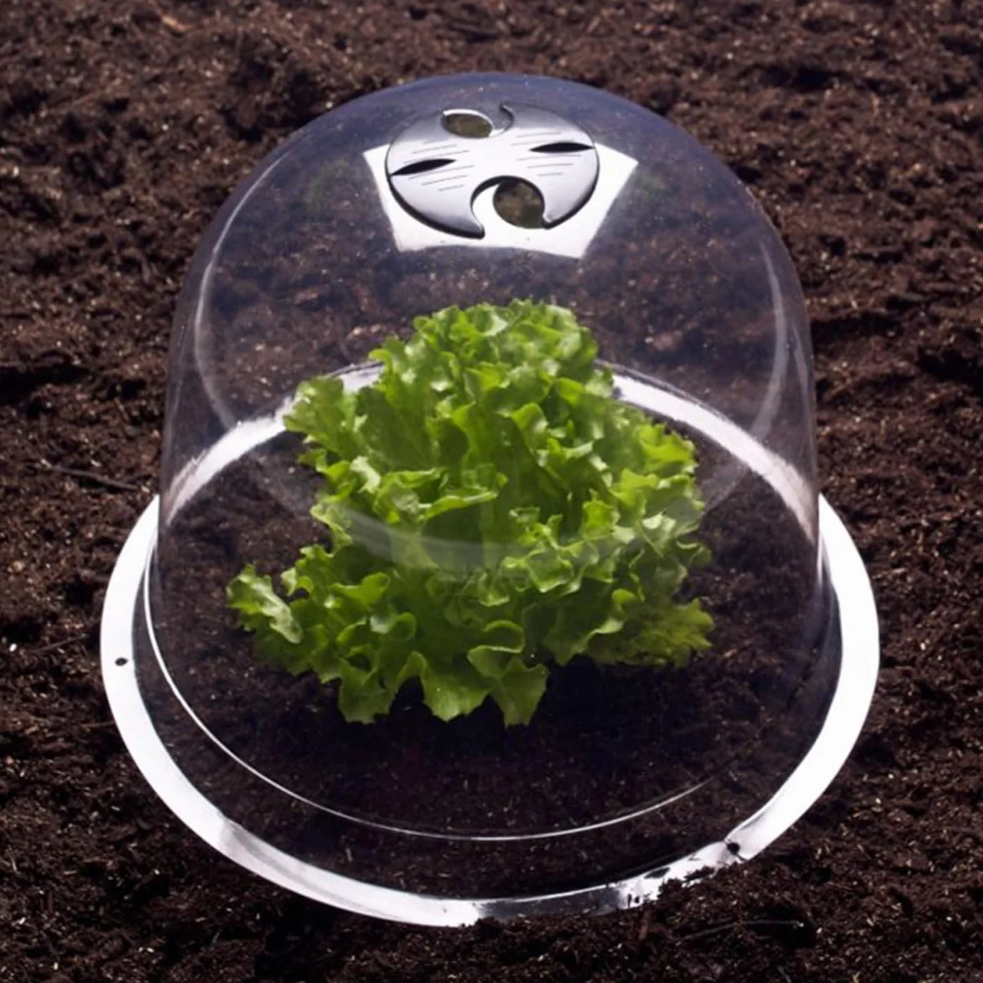 IDMarket - Campana para ensalada x12 invernadero para proteger las plántulas