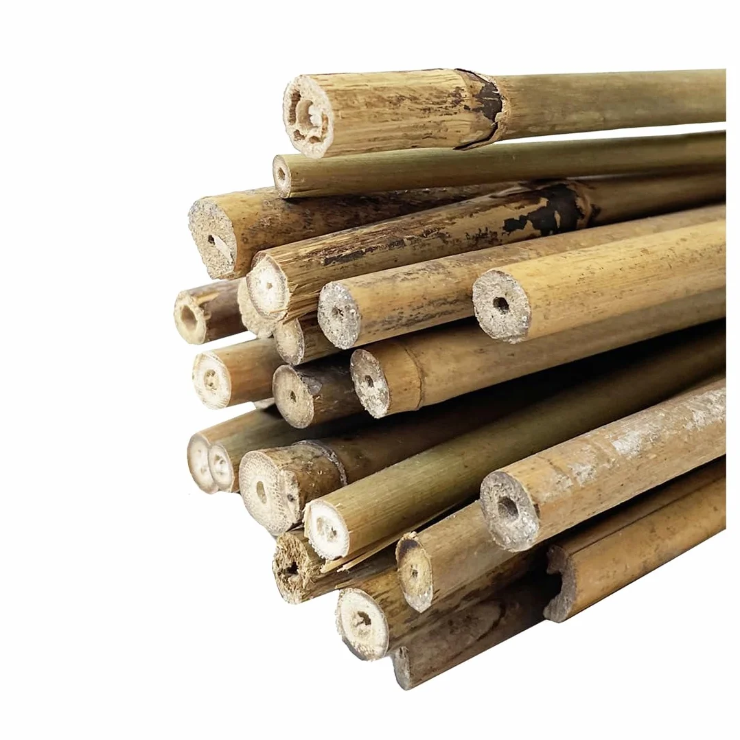 Acomoda Textil - Tutores de Bambú para Agricultura y Jardinería - Pack 30 Varillas Estables y Robustas (120 cm, 8/11 mm)