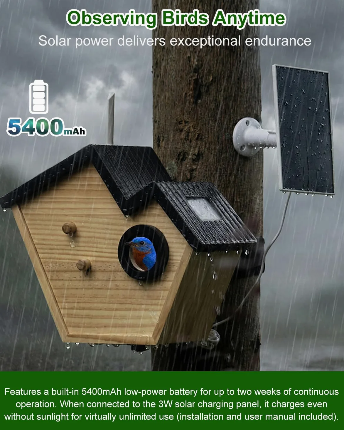 Caja nido con cámara HD alimentada por energía solar, Live Stream Al Detector de aves, observa la anidación y la eclosión, memoria en la nube y SD, entrada de 35 mm y protección IP65, idea de regalo