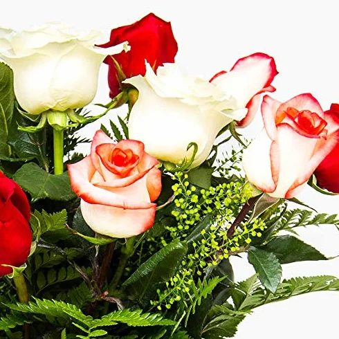 Ramos de 12 rosas naturales a domicilio variado Túnez - Flores frescas - Envío a domicilio 24h GRATIS - Tarjeta dedicatoria incluida - Caja especial para ramos de flores naturales...