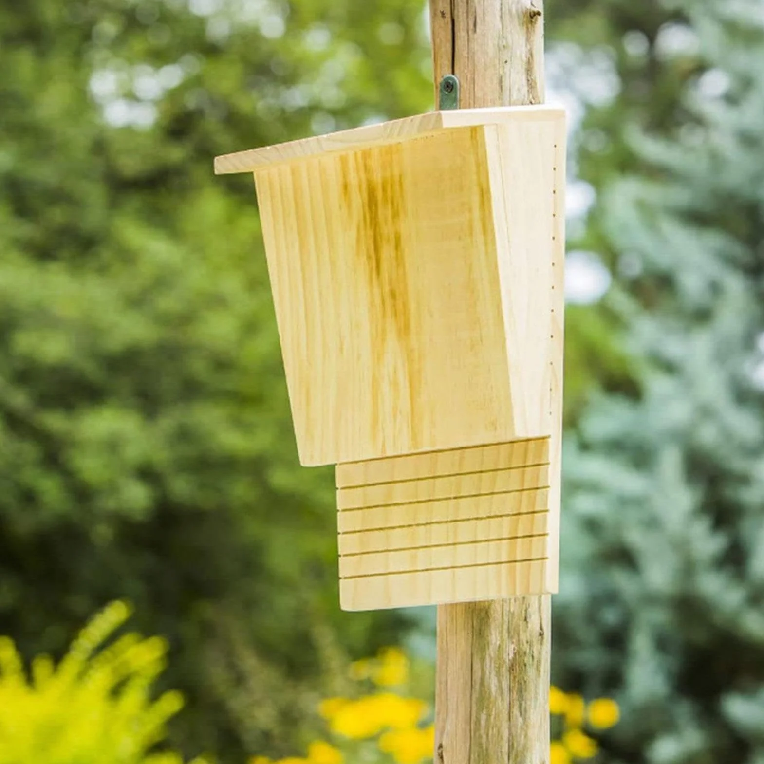 Caja grande para murciélagos – Casa de murciélagos resistente a la intemperie, caja de anidación de murciélagos | Caja de madera inclinada para murciélagos al aire libre, caja de anidación hecha a