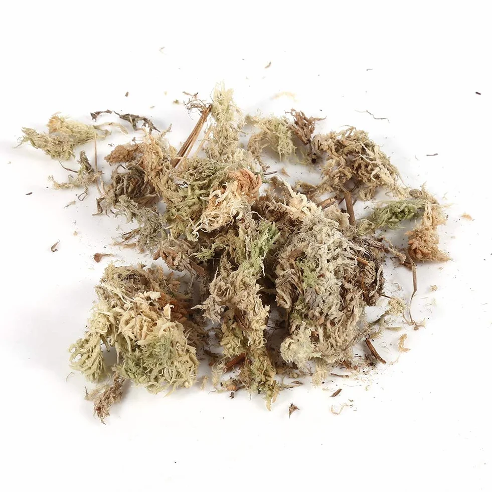 Tbest 6L Garden Sphagnum Moss Hidratante Nutrición Fertilizante Orgánico para Phalaenopsis Orchid Neuseeland Sphagnum Moos, Musgo para Hacer Coronas, Musgo Sphagnum para Coronas, Musgo