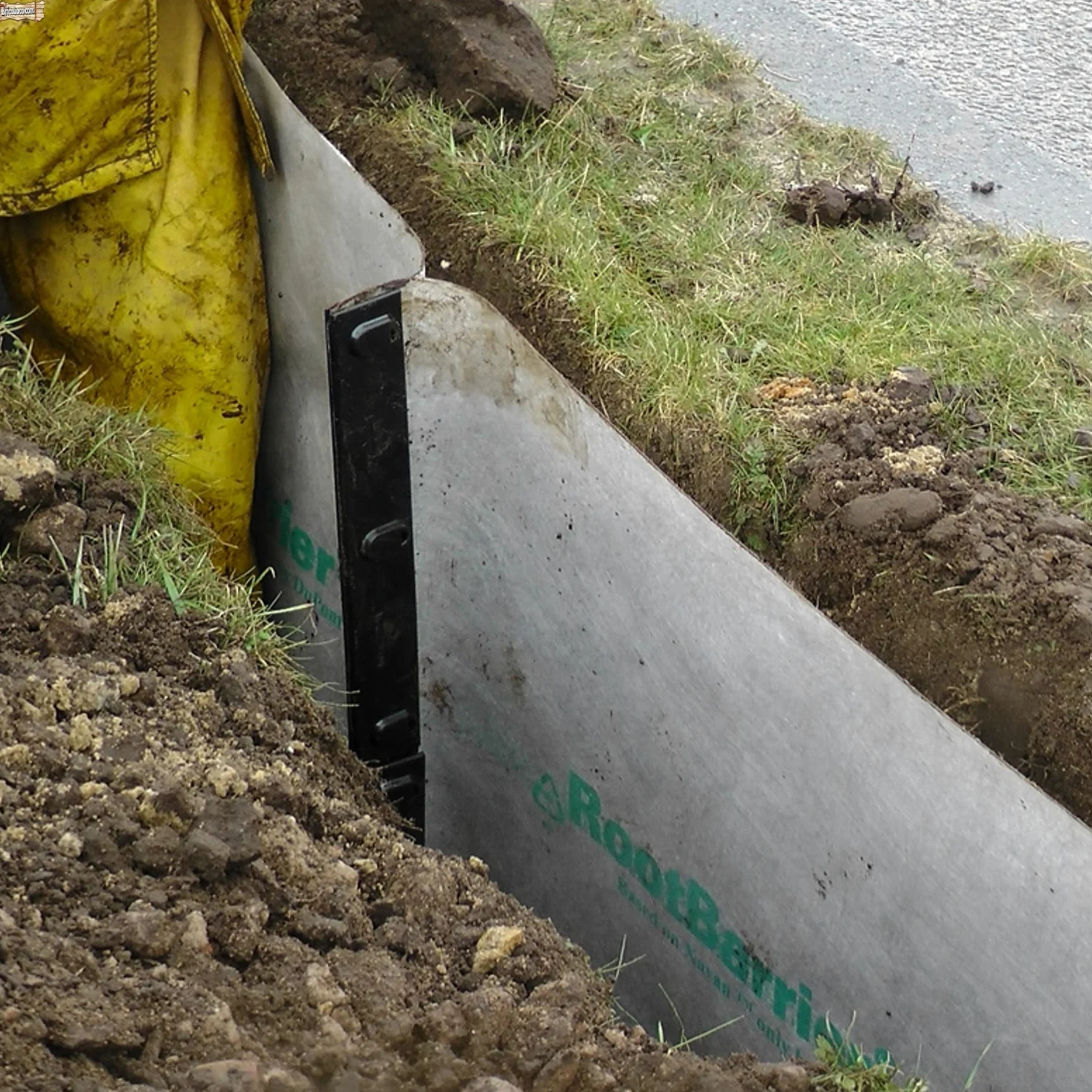 BricoLoco.com Tela antiraices. Malla geotextil en lámina. Impide el Crecimiento de raíces de árboles o Plantas a Lugares no deseados. Protege Cables, tuberías, Piscina, Estanque. (0,65x10 MTS.)